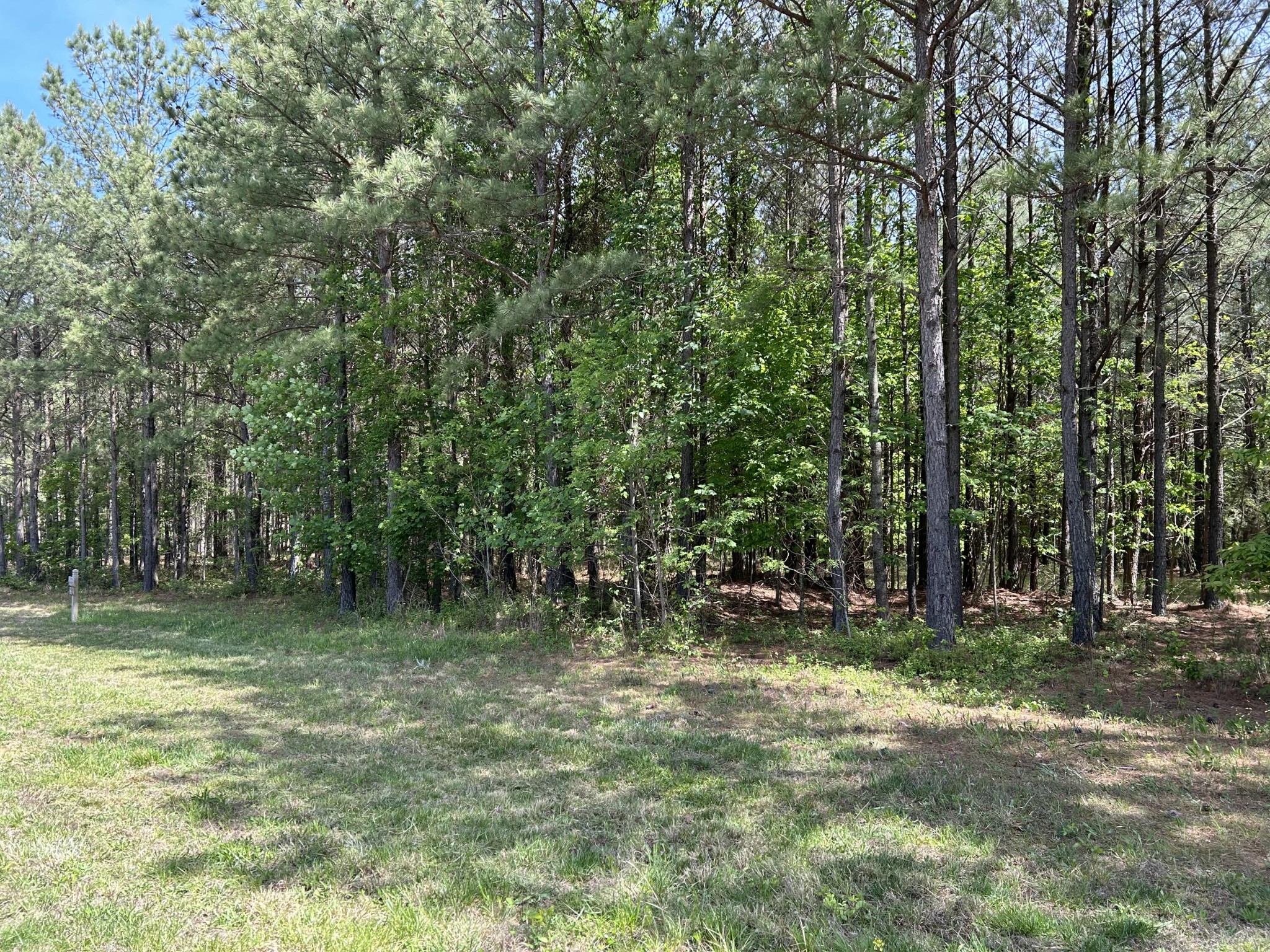 290 Bear Trace Drive Property Photo 4