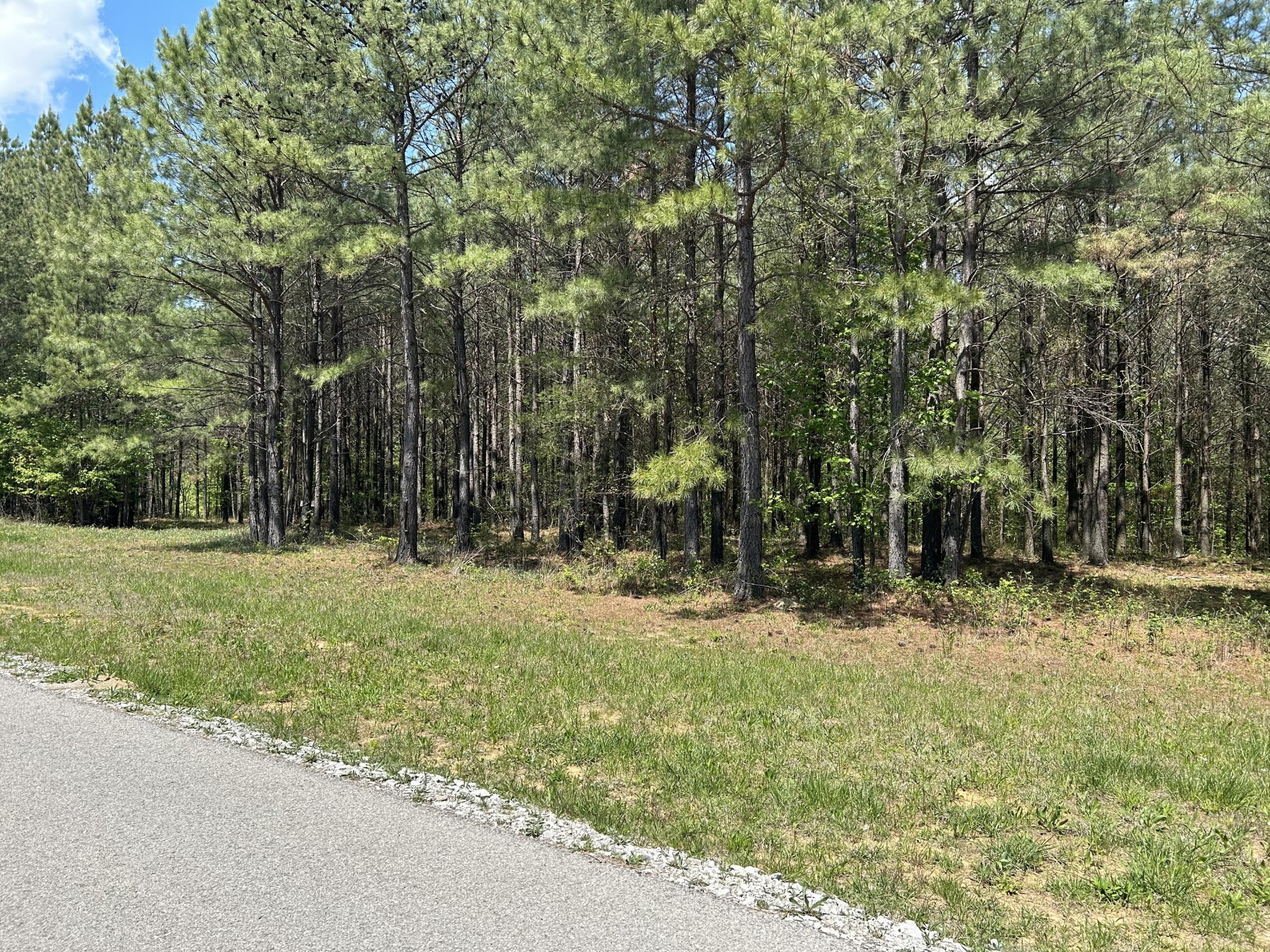 290 Bear Trace Drive Property Photo 5