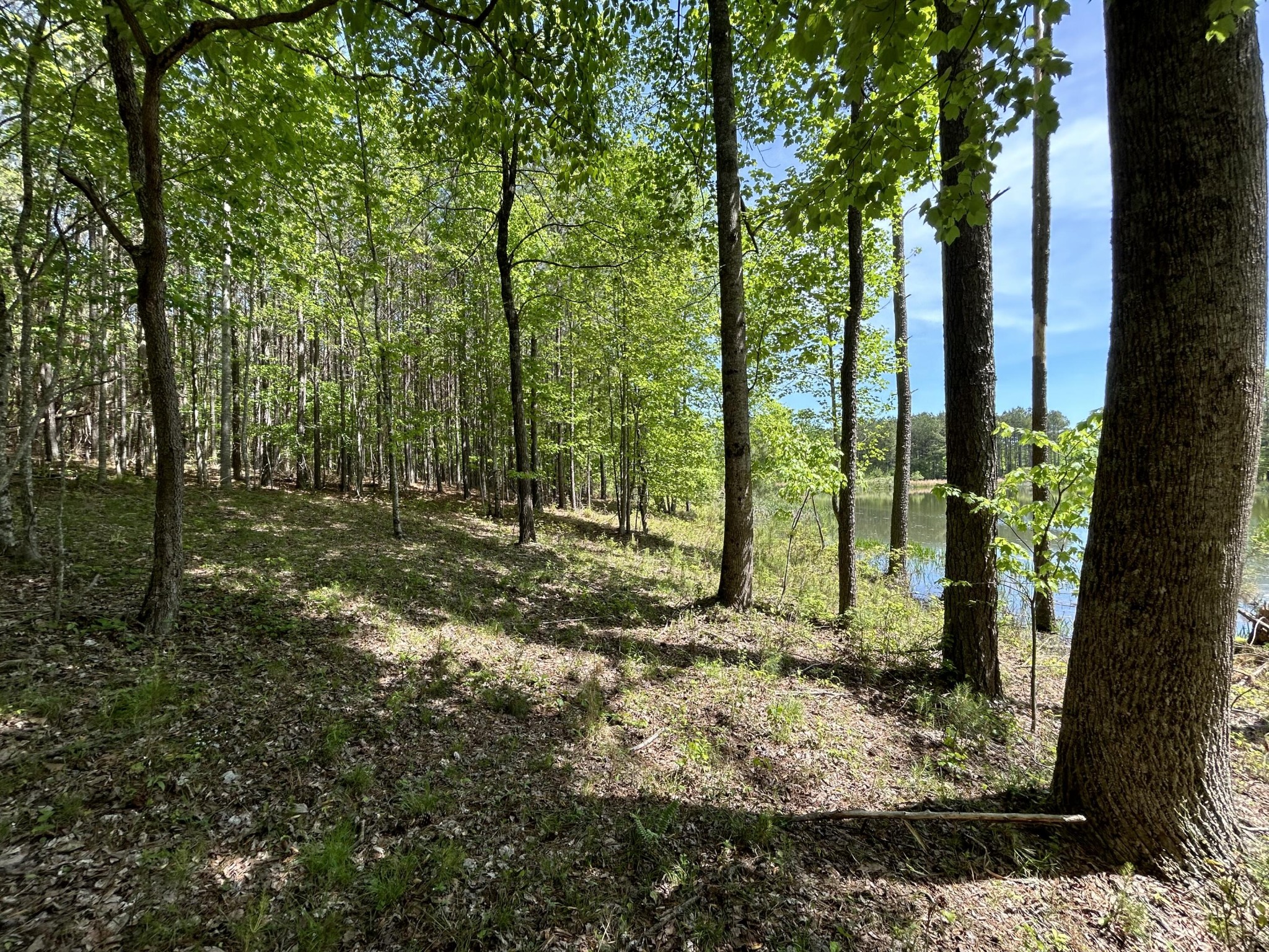 290 Bear Trace Drive Property Photo 12