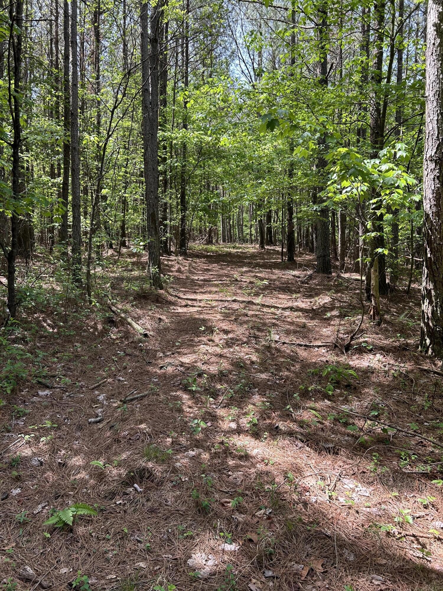 290 Bear Trace Drive Property Photo 13