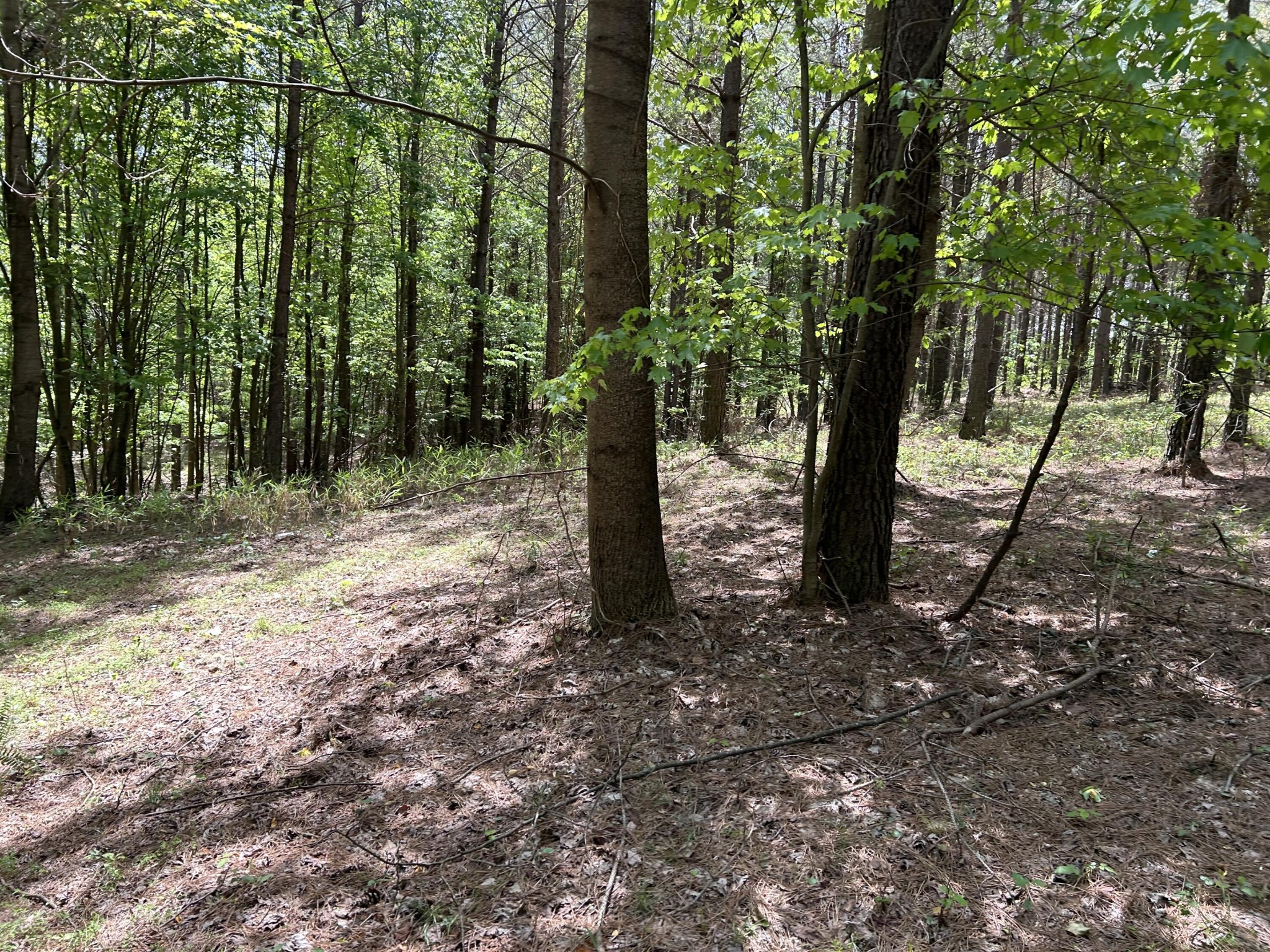 290 Bear Trace Drive Property Photo 18