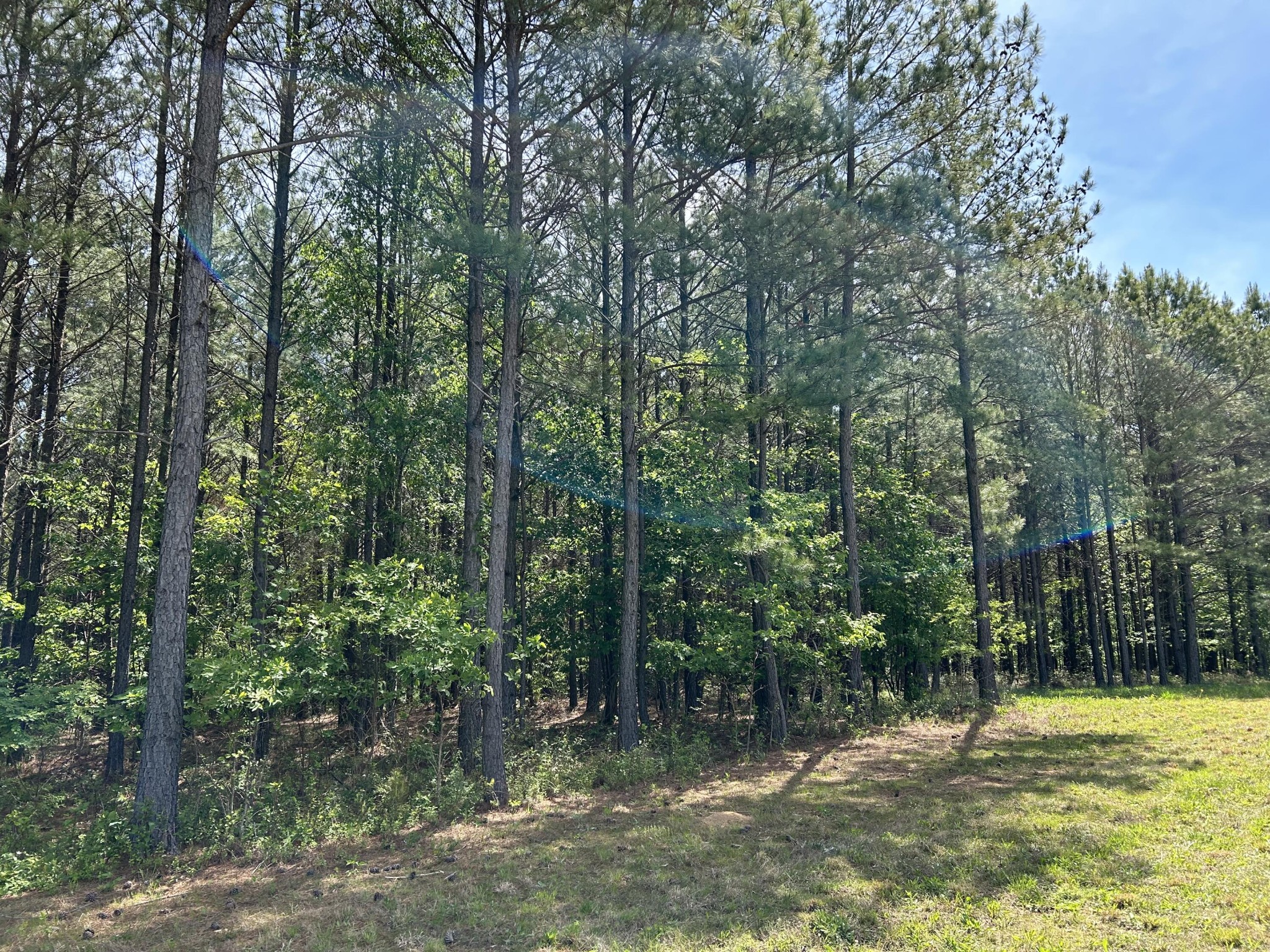 250 Bear Trace Drive Property Photo 1