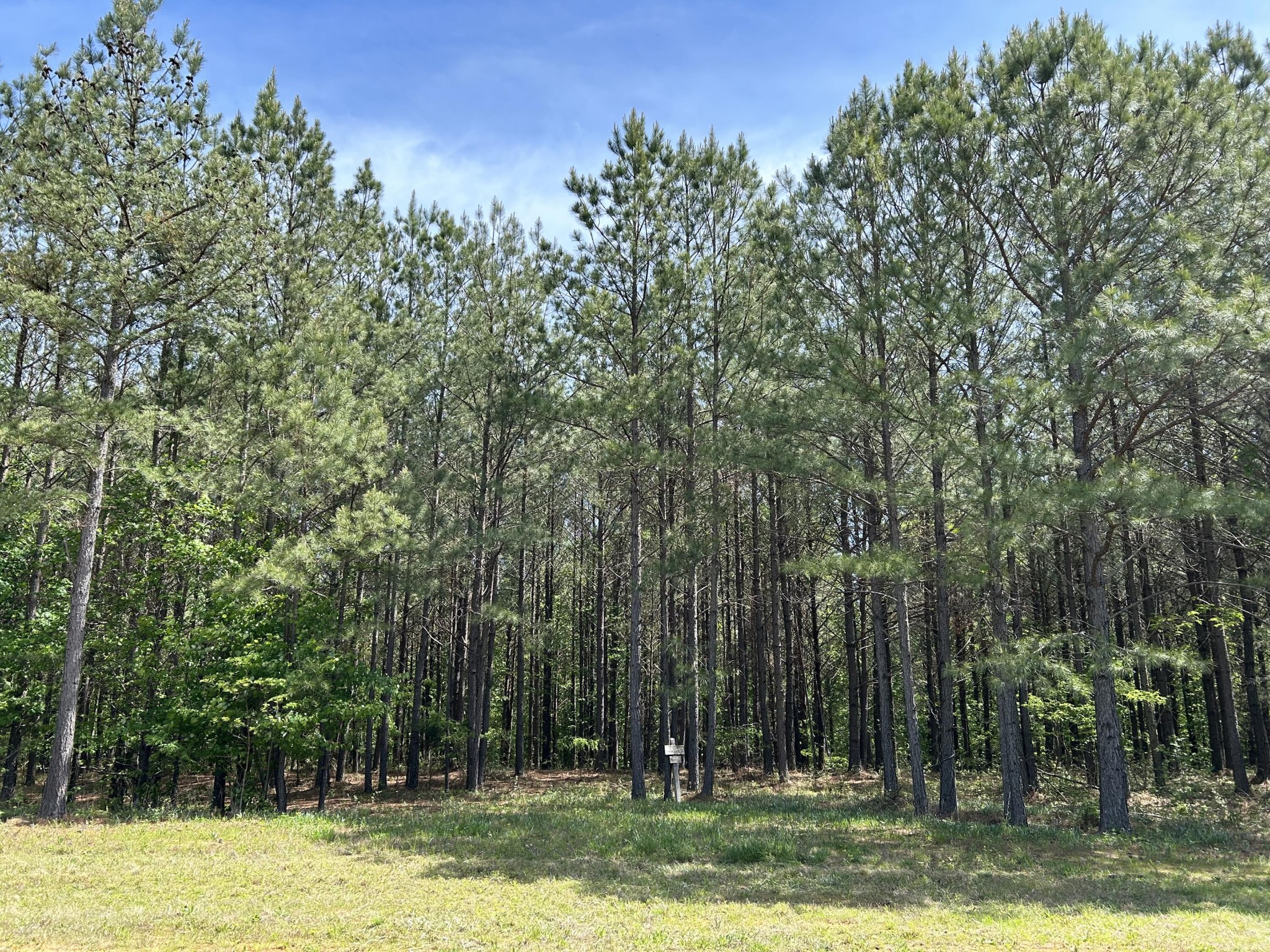 250 Bear Trace Drive Property Photo 2