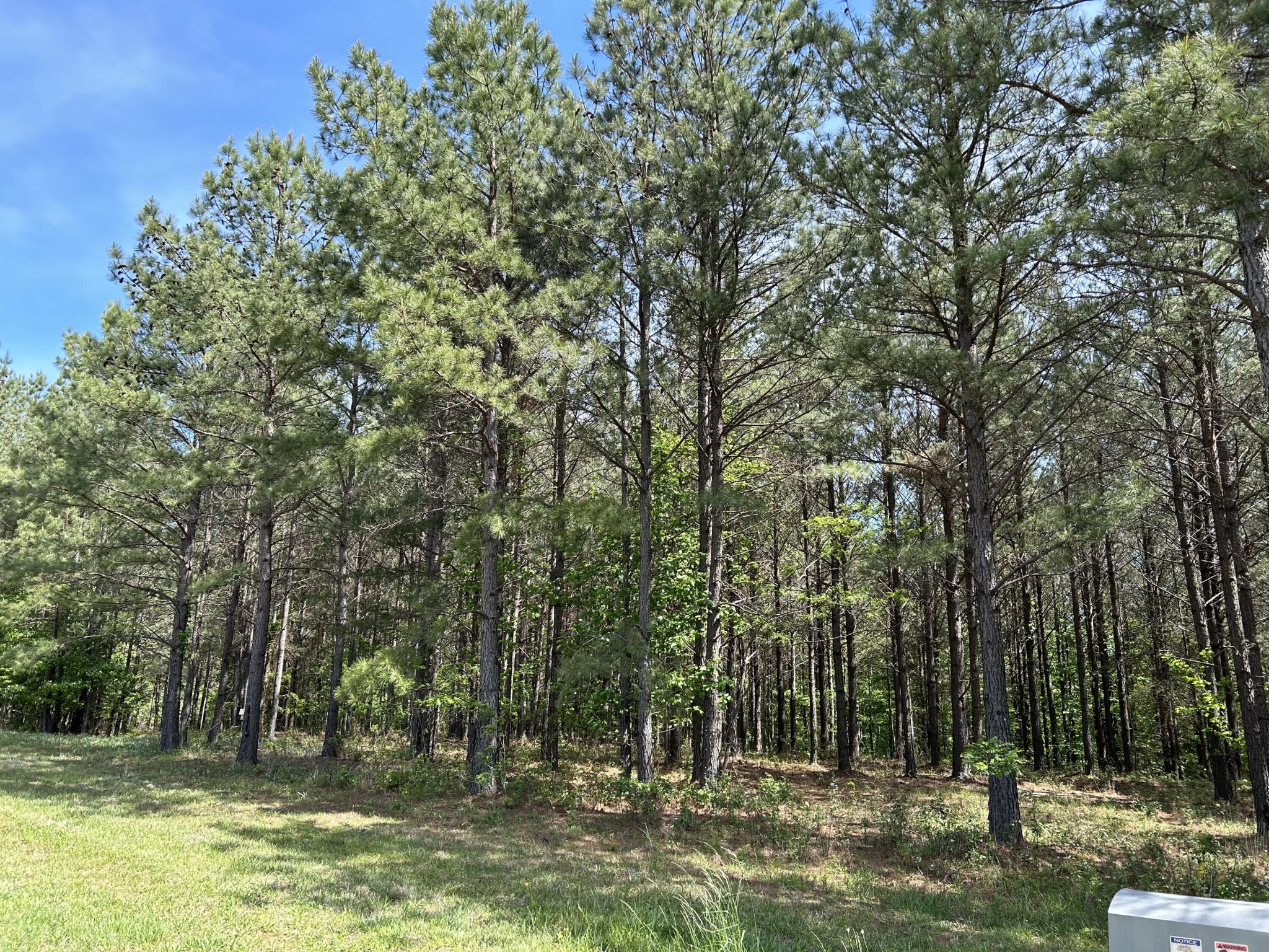 250 Bear Trace Drive Property Photo 3