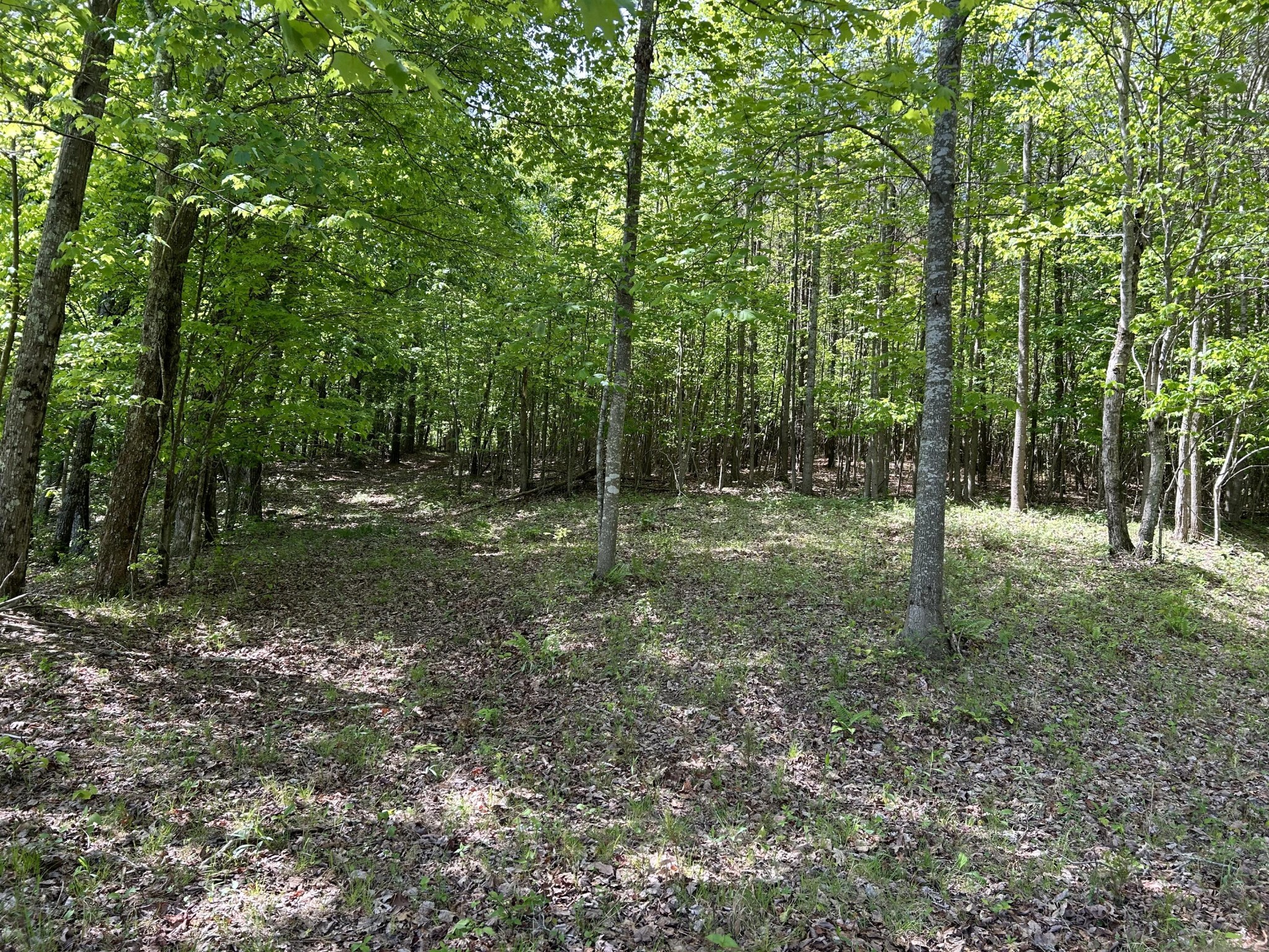 250 Bear Trace Drive Property Photo 10