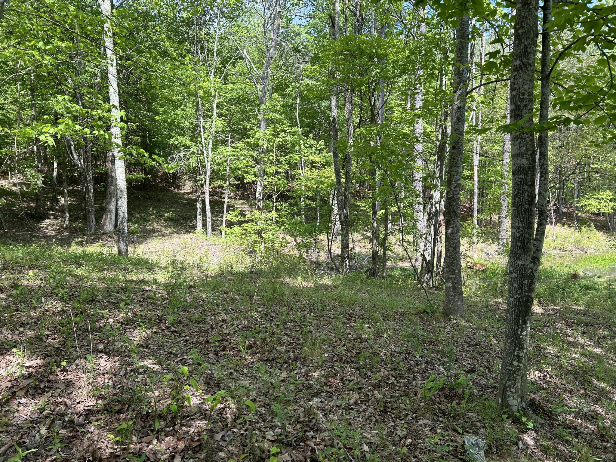 250 Bear Trace Drive Property Photo 13