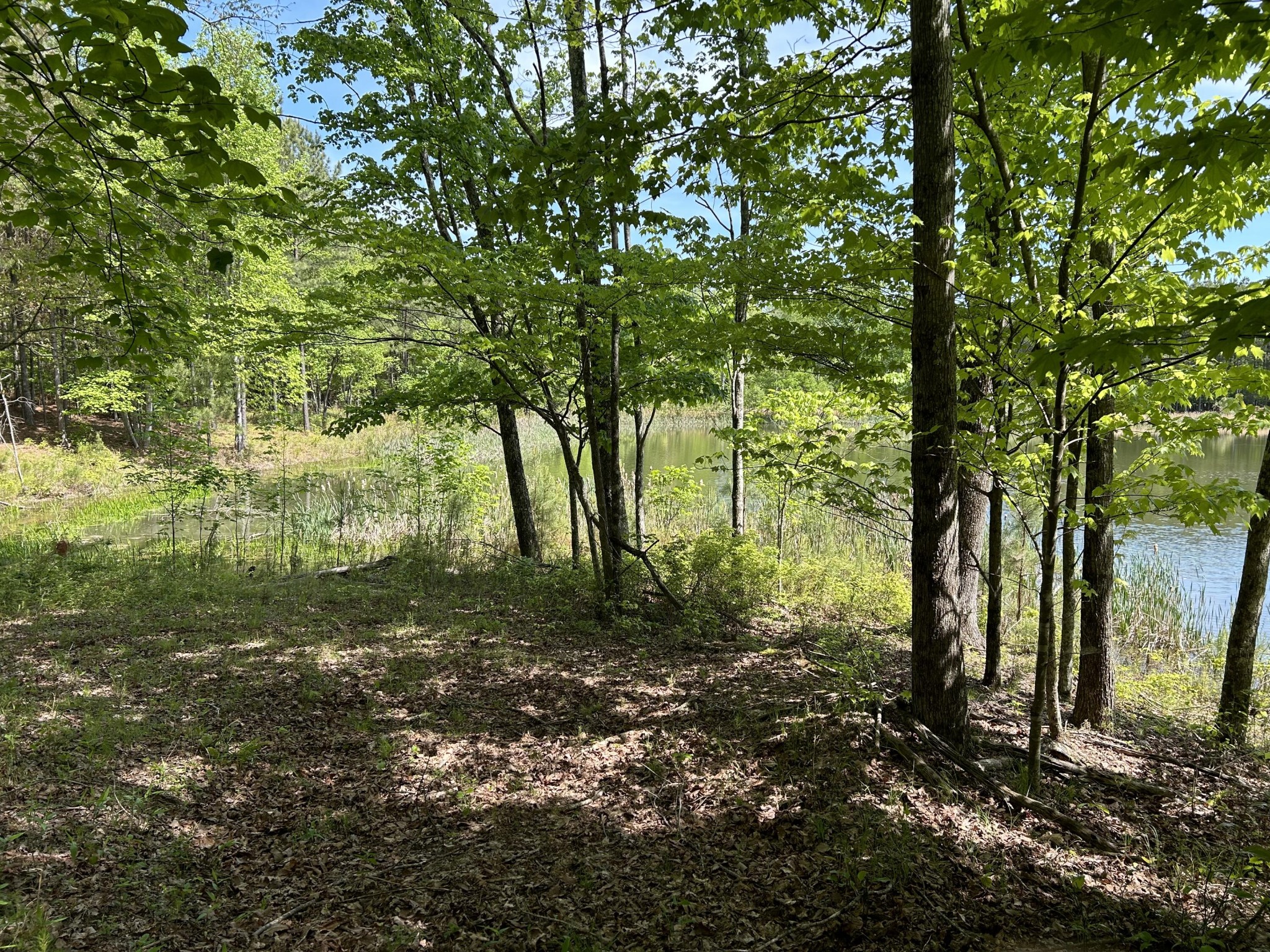 250 Bear Trace Drive Property Photo 14