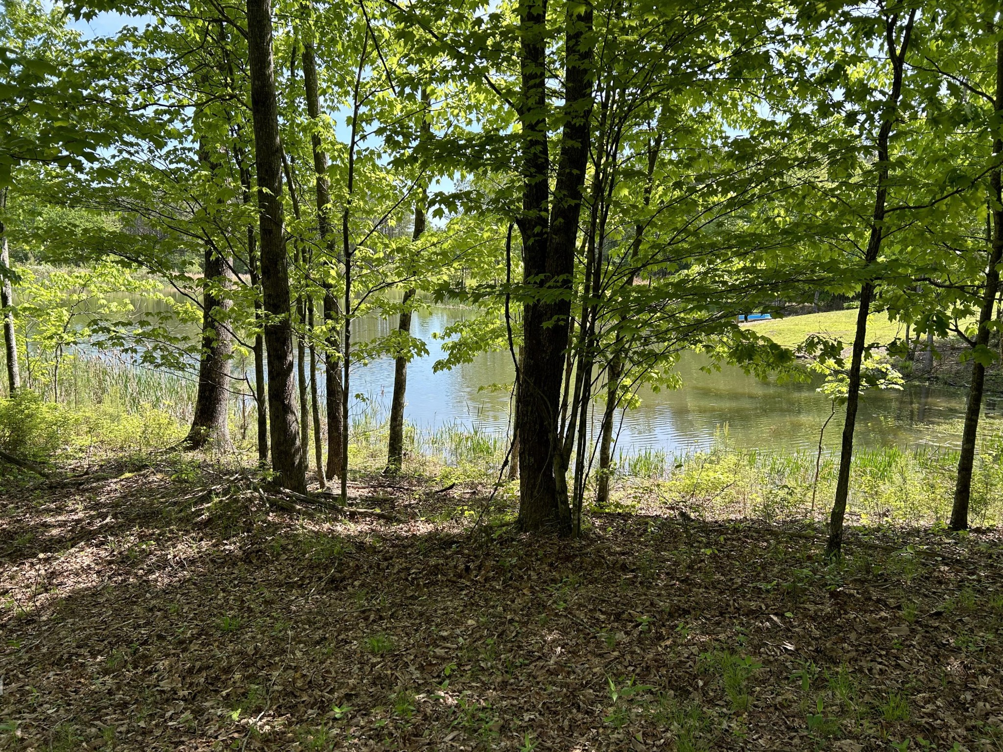 250 Bear Trace Drive Property Photo 15