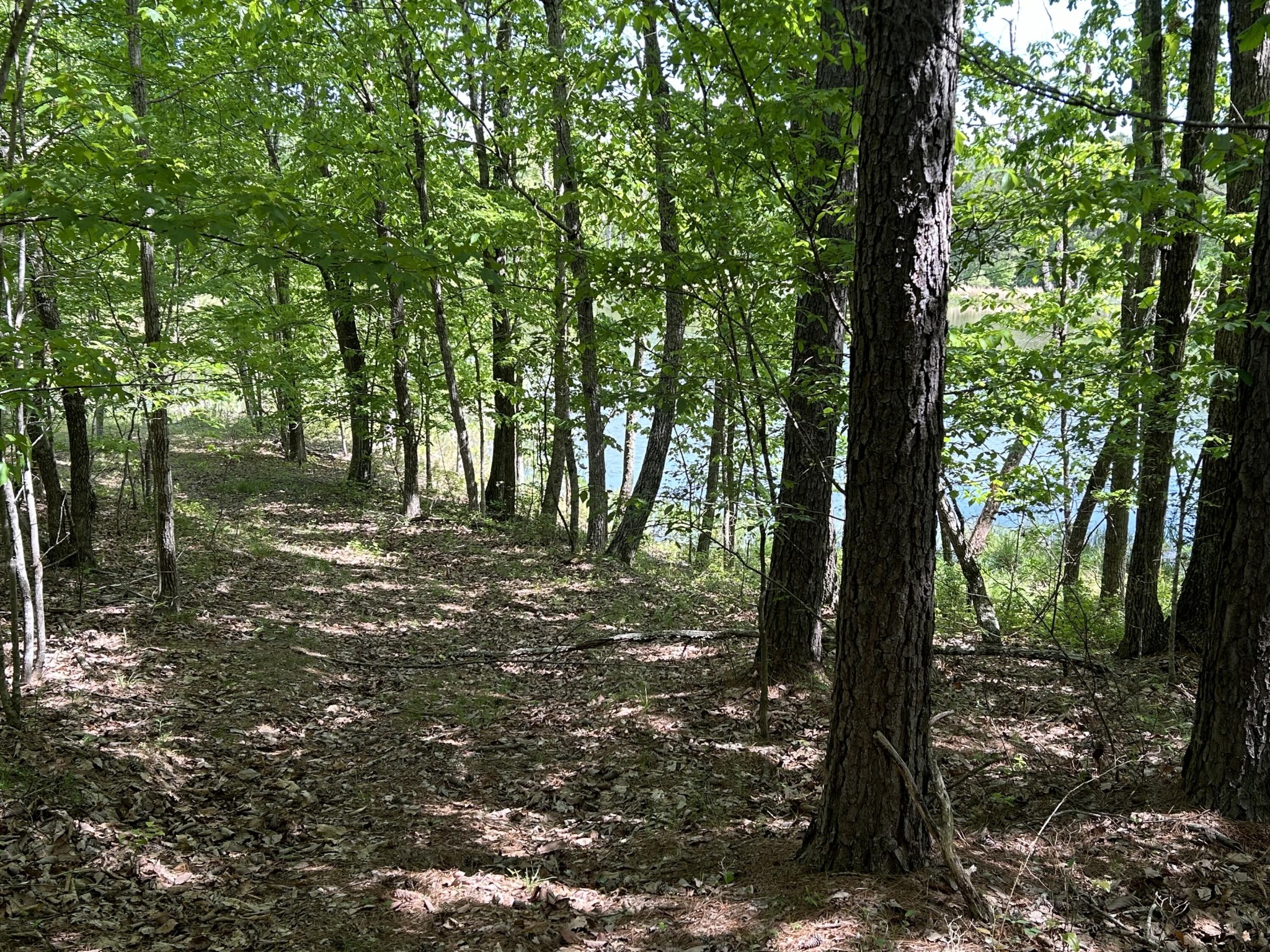 250 Bear Trace Drive Property Photo 17
