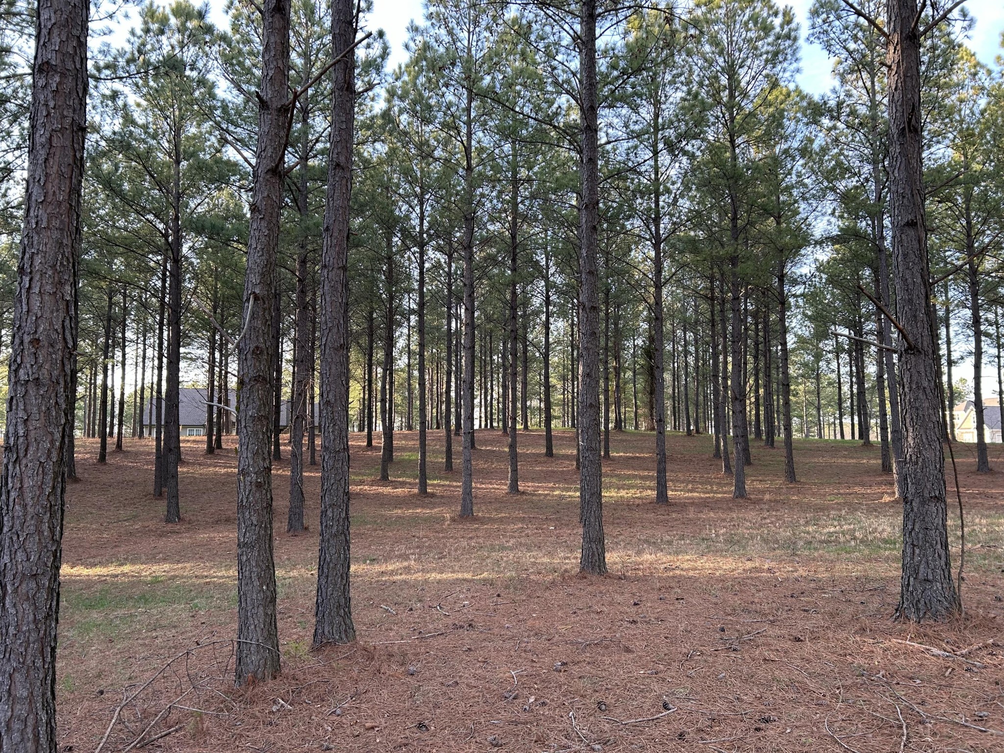 362 Cumberland Circle Property Photo 6