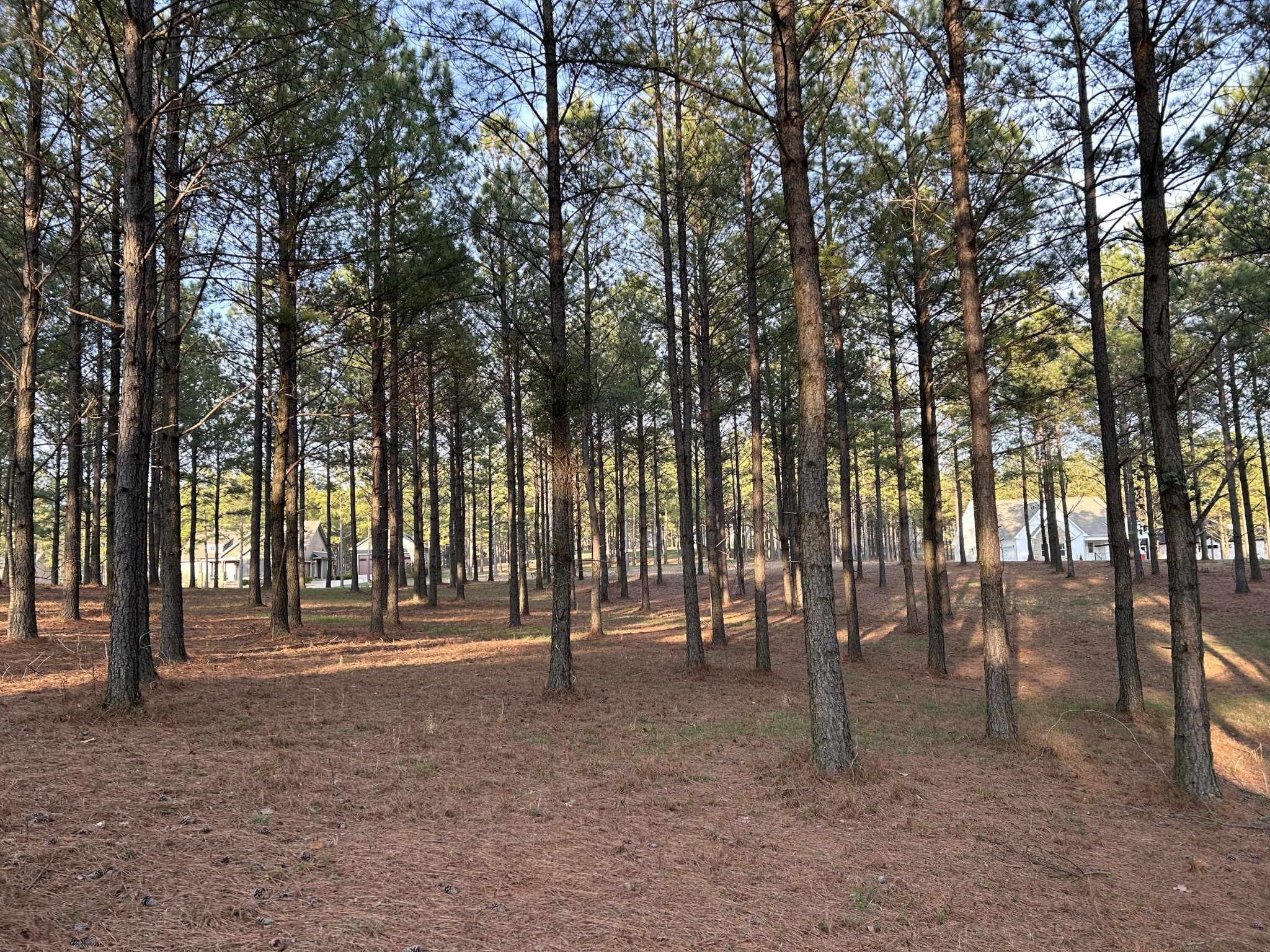 362 Cumberland Circle Property Photo 8