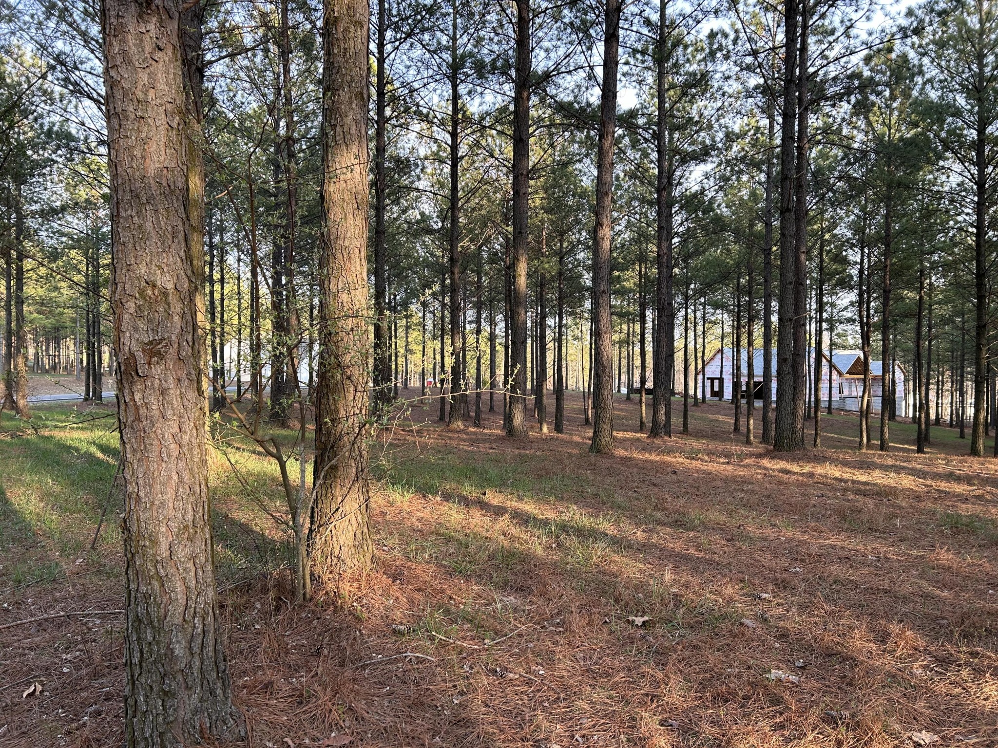 362 Cumberland Circle Property Photo 9