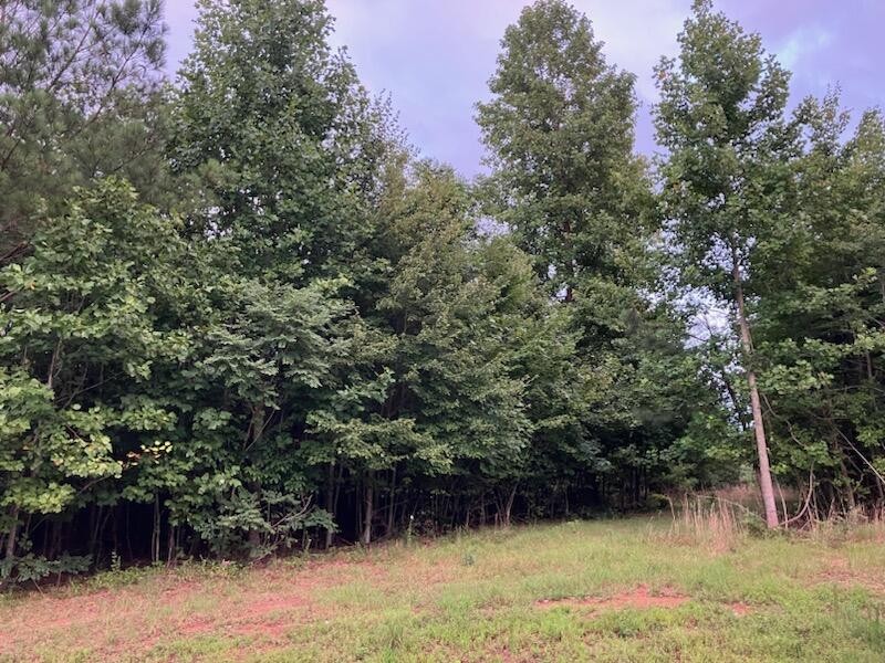 174 Volunteer Street Property Photo 6