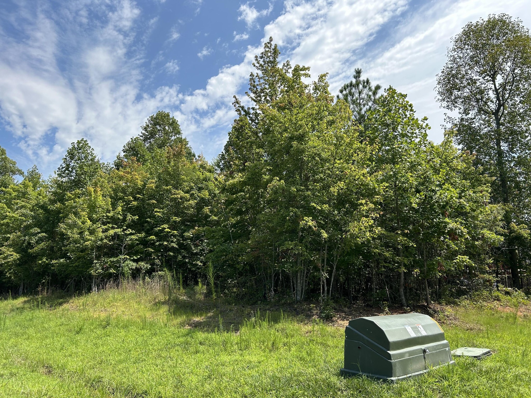 174 Volunteer Street Property Photo 39