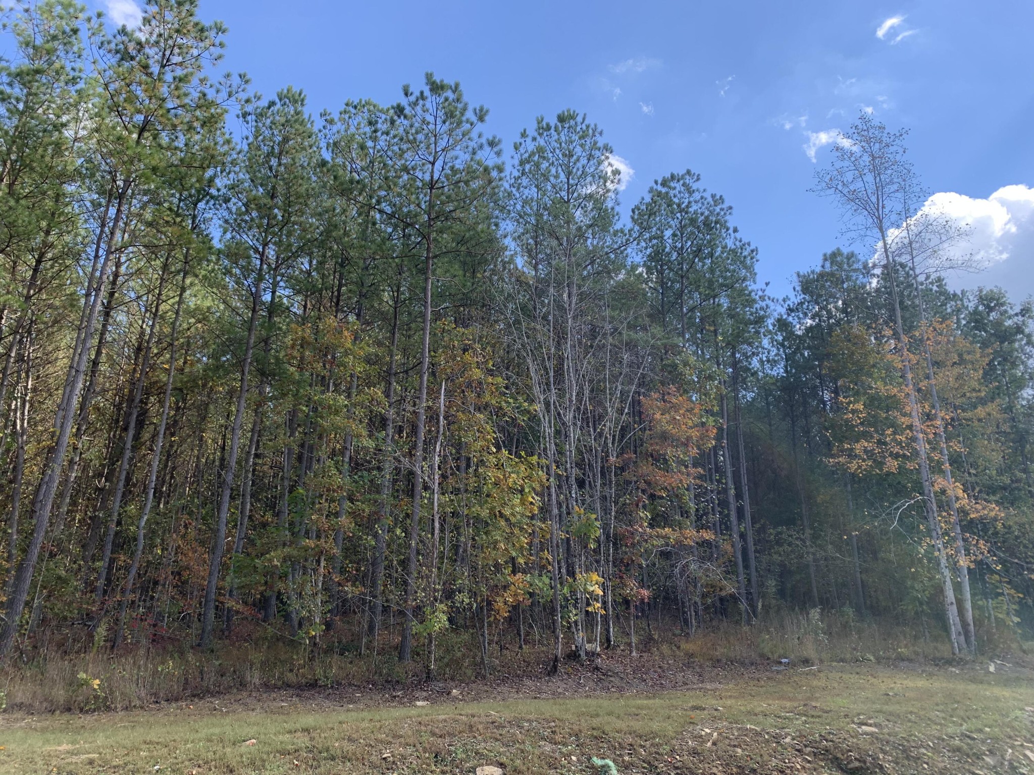 4910 Raulston Falls Road Property Photo 1