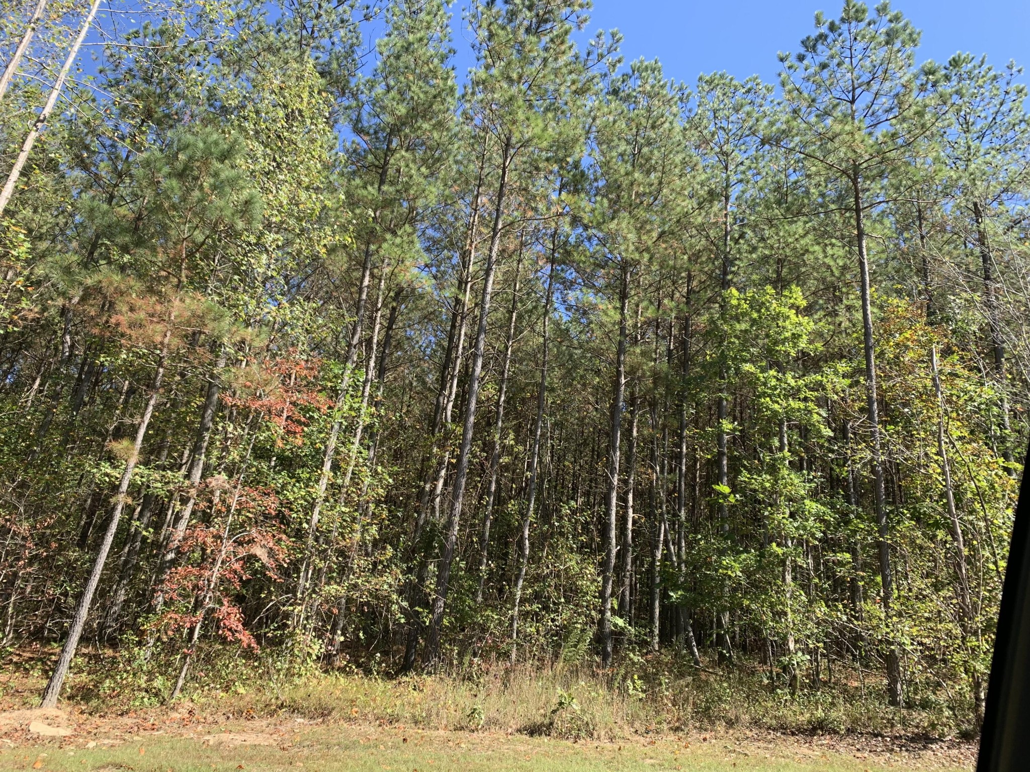 4910 Raulston Falls Road Property Photo 2