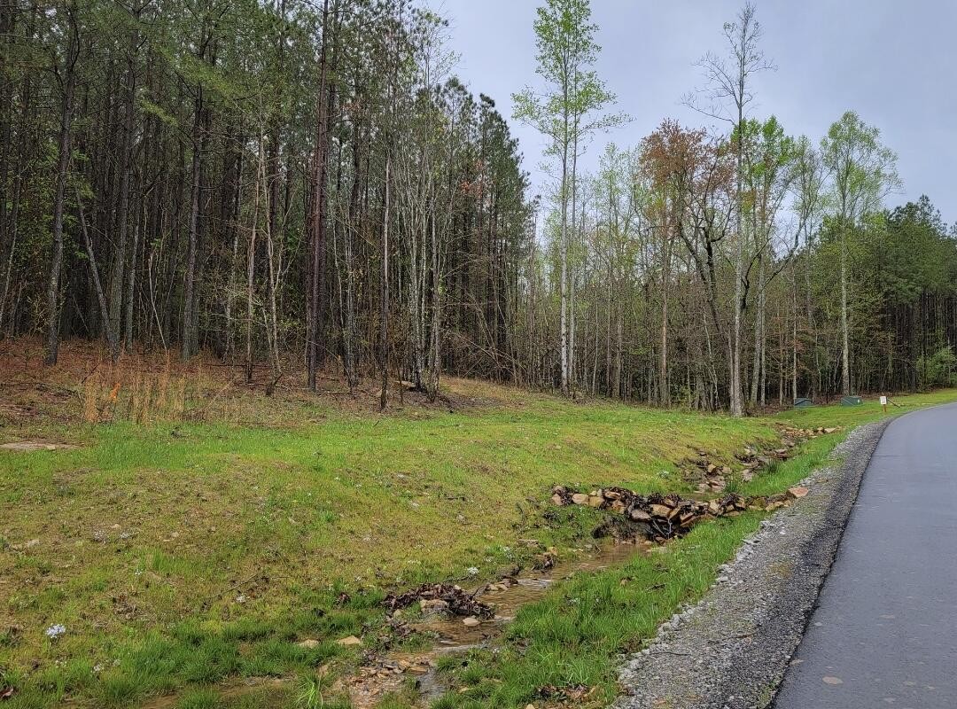 4910 Raulston Falls Road Property Photo 9