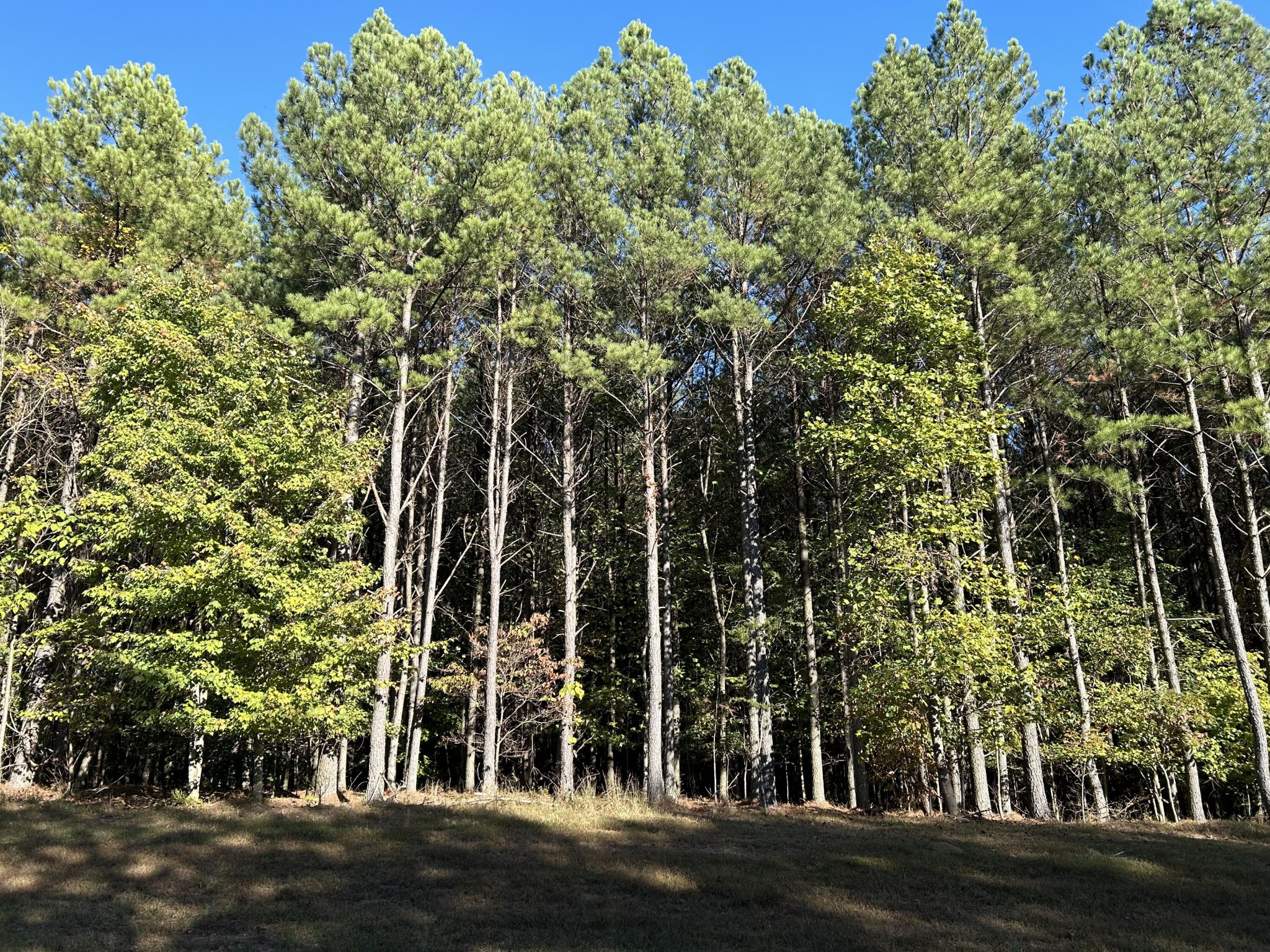 2035 Crockett Point Property Photo 1