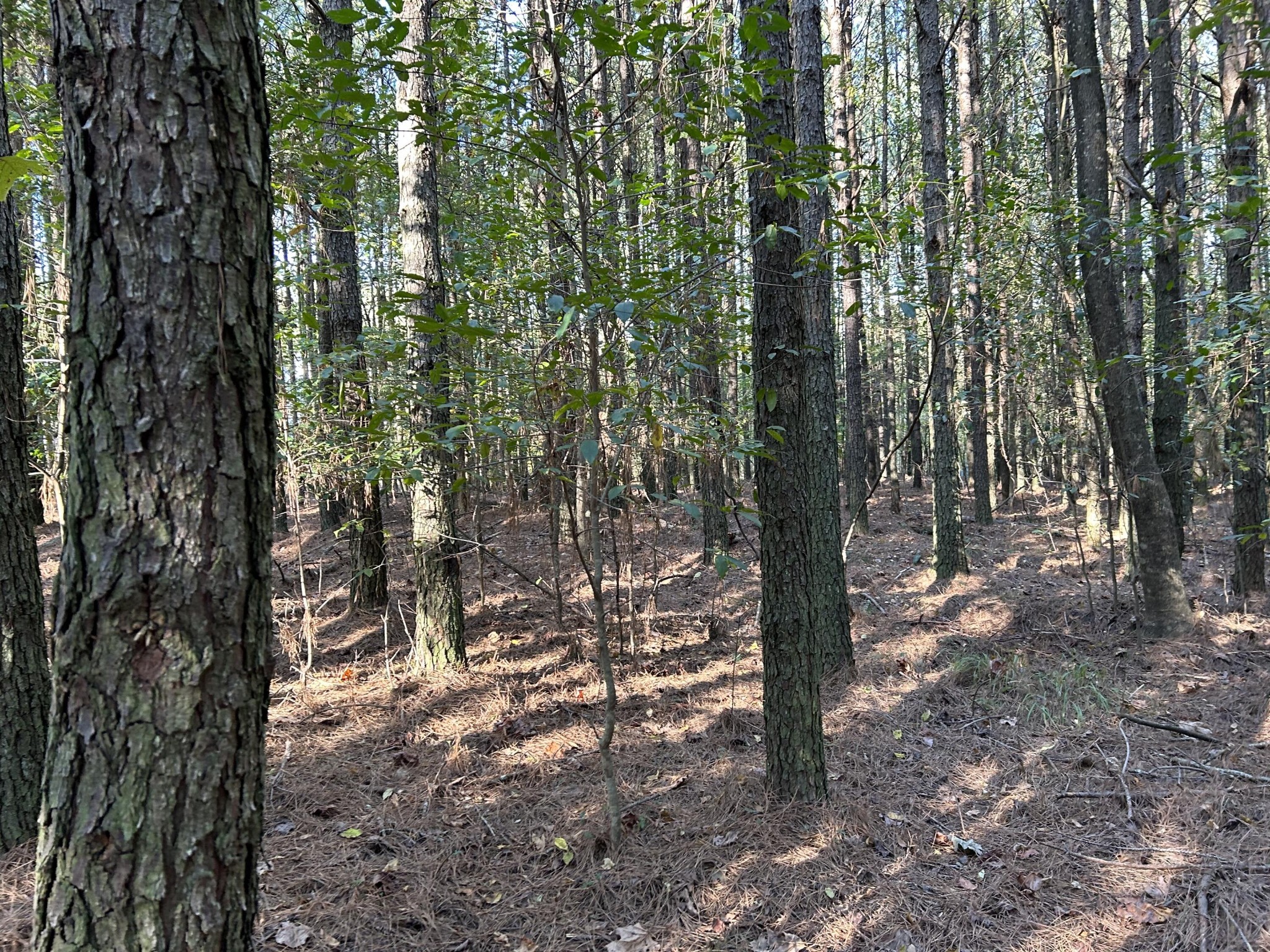 2035 Crockett Point Property Photo 10