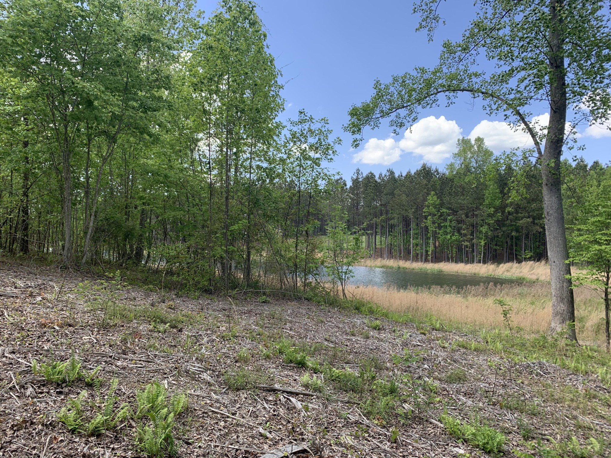 260 Cherokee Path Property Photo 4