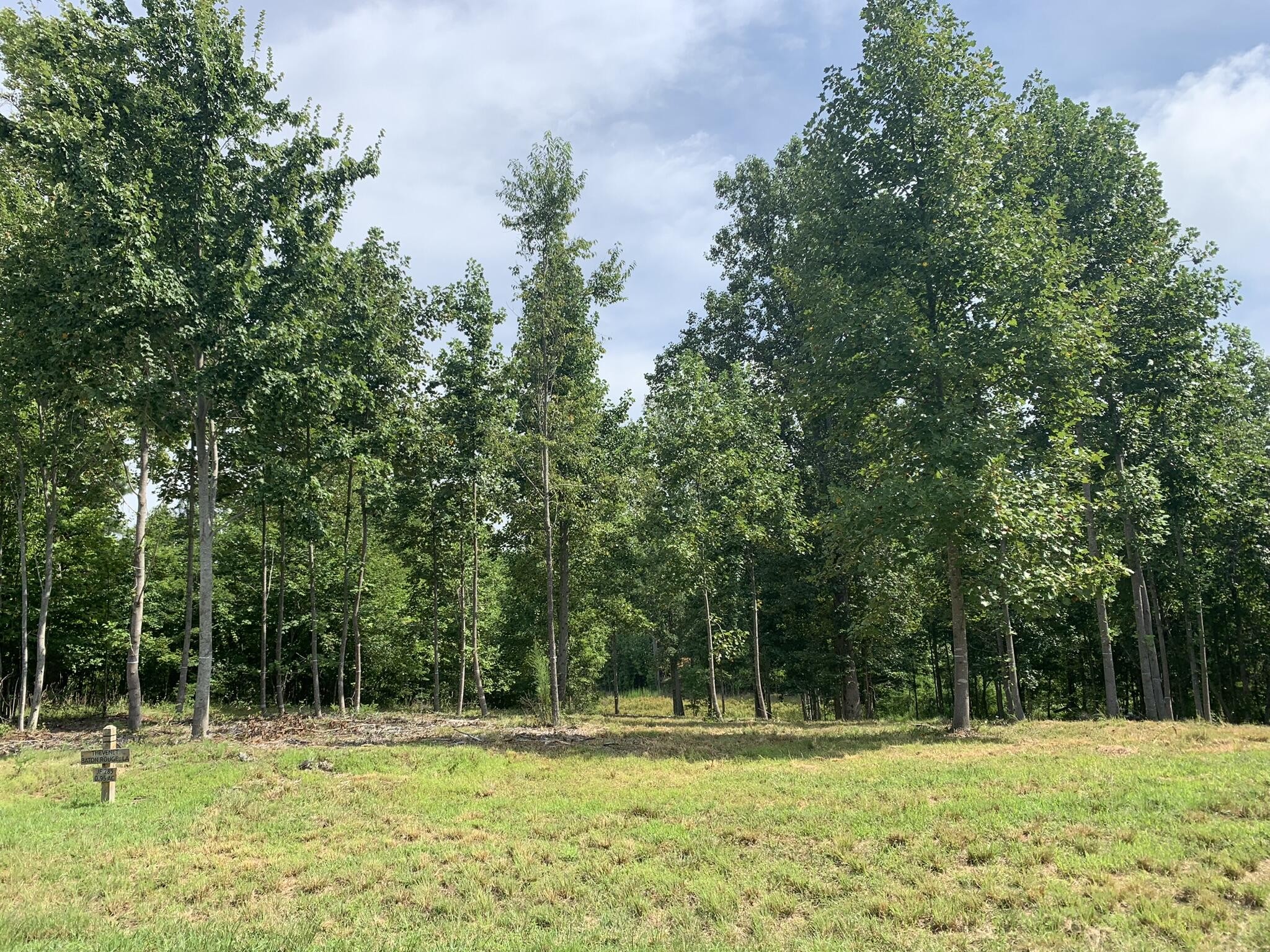 260 Cherokee Path Property Photo 6