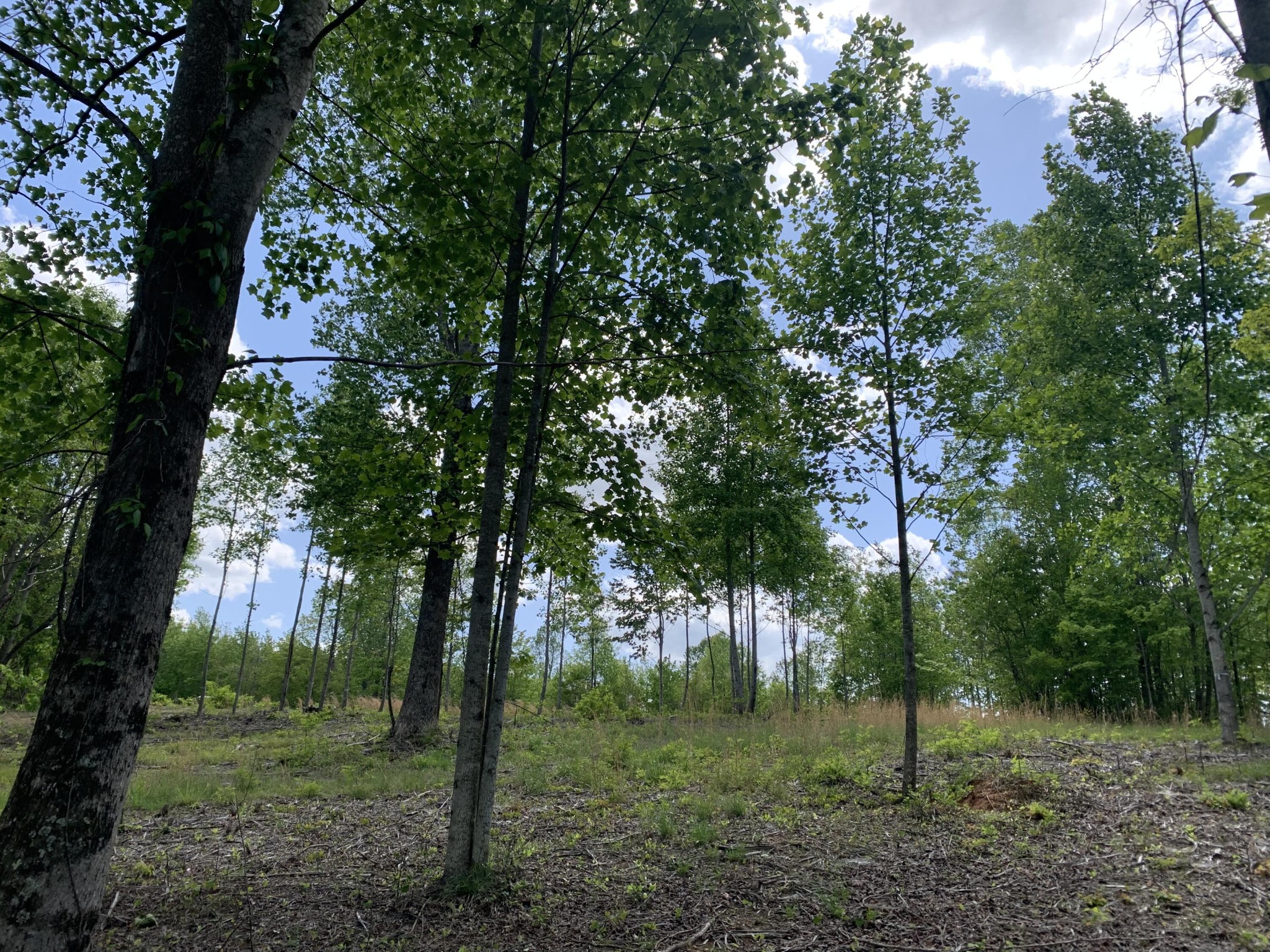 260 Cherokee Path Property Photo 7