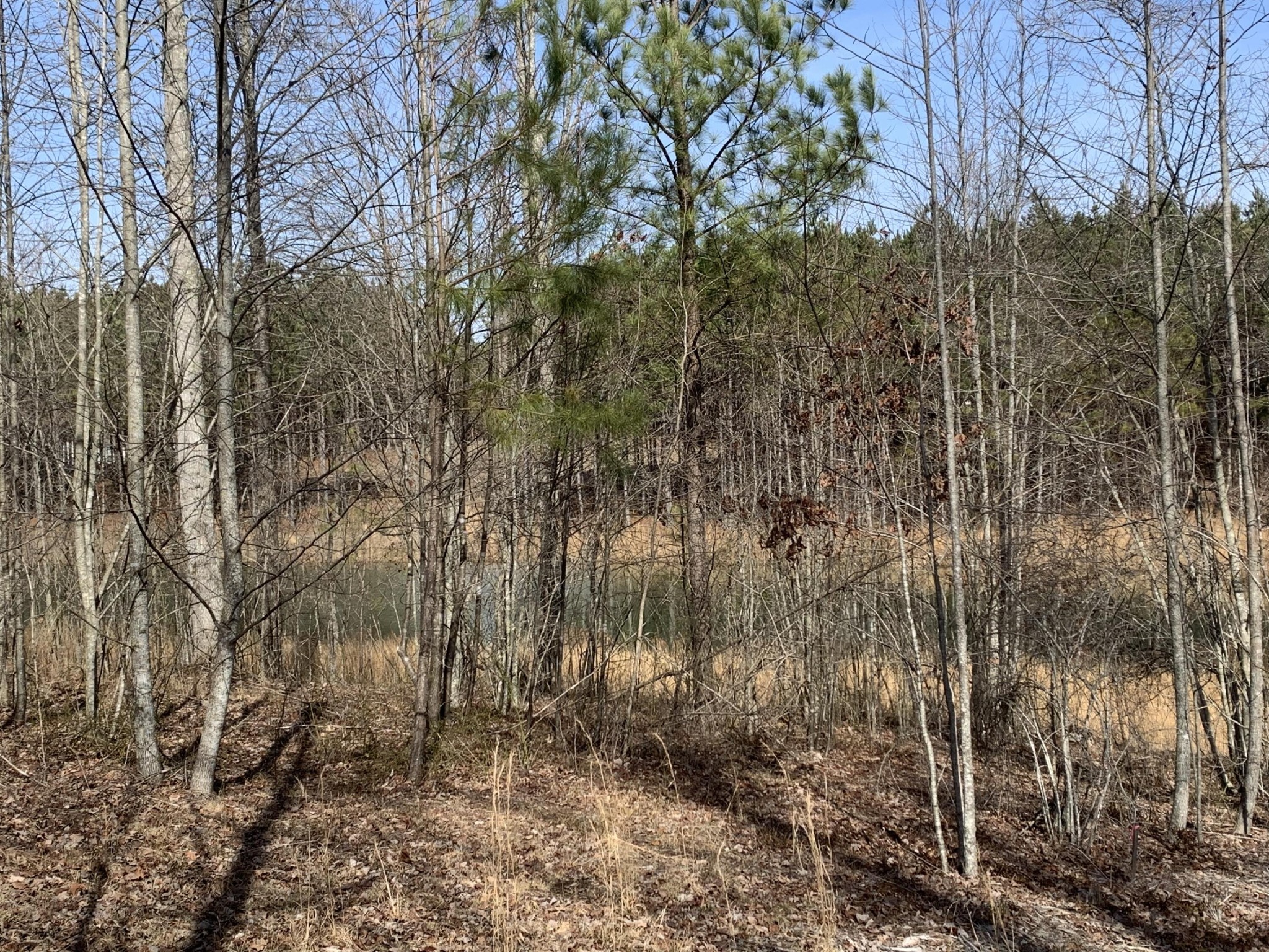 260 Cherokee Path Property Photo 8