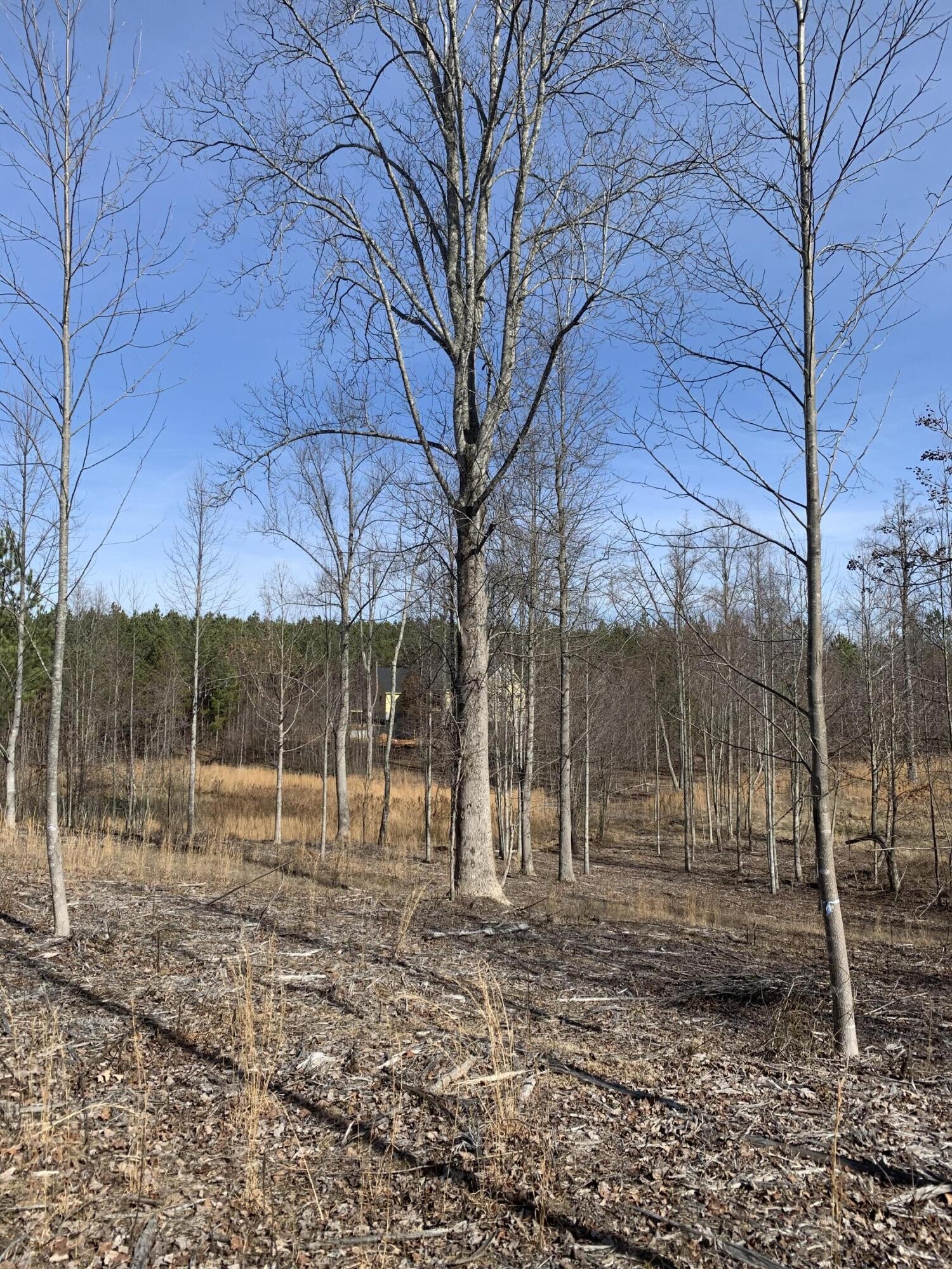 260 Cherokee Path Property Photo 9
