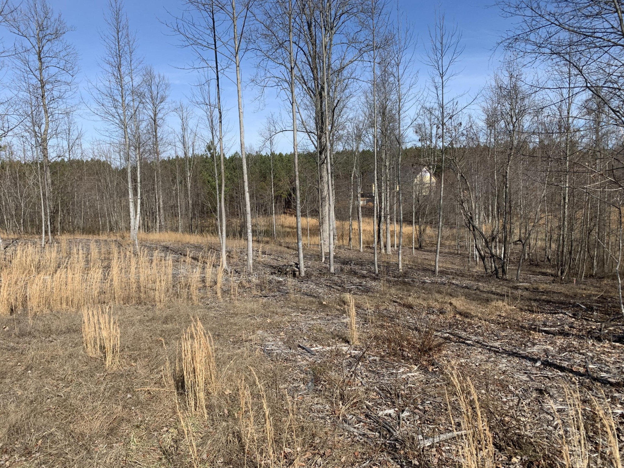 260 Cherokee Path Property Photo 10