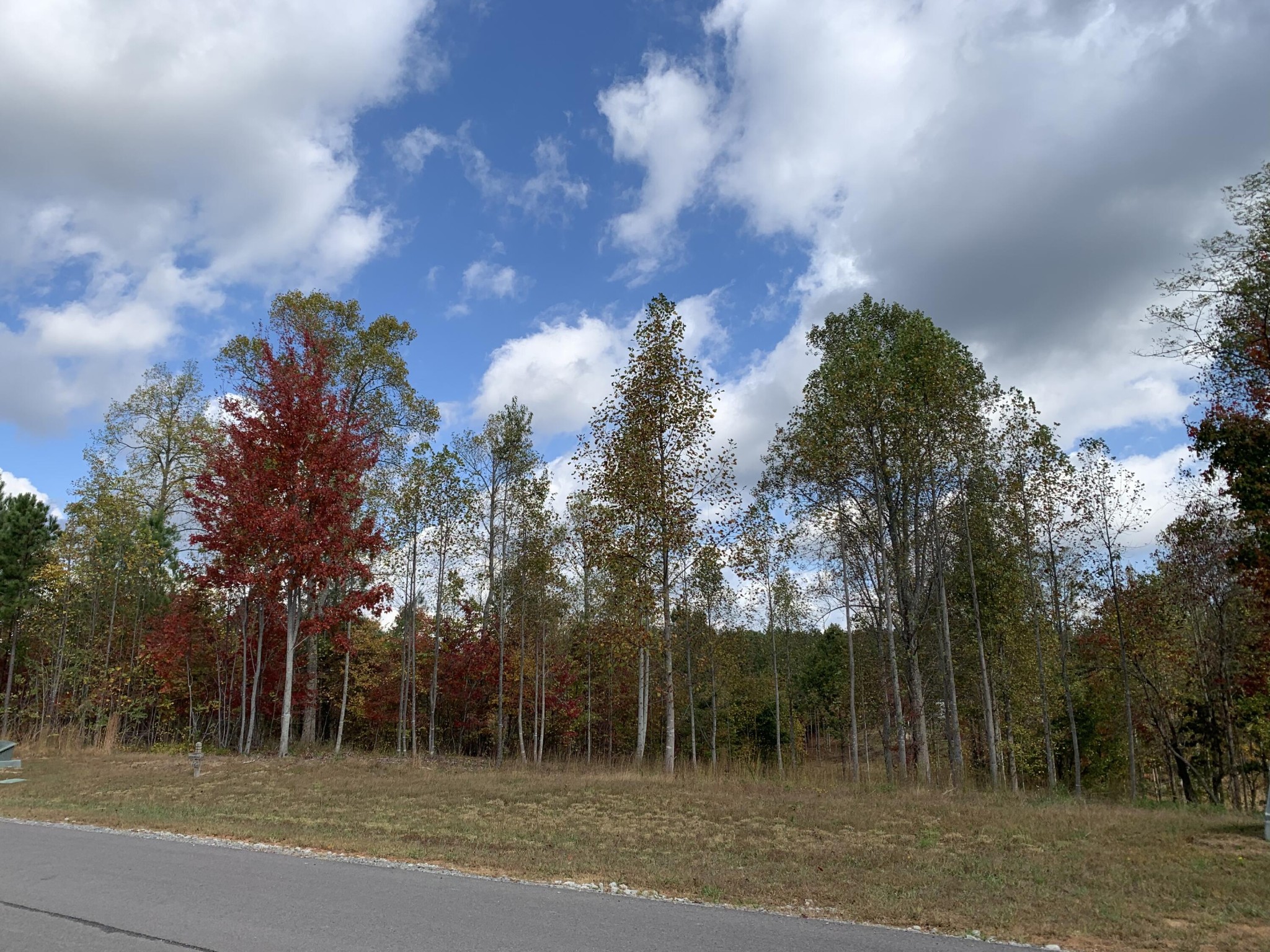 260 Cherokee Path Property Photo 12