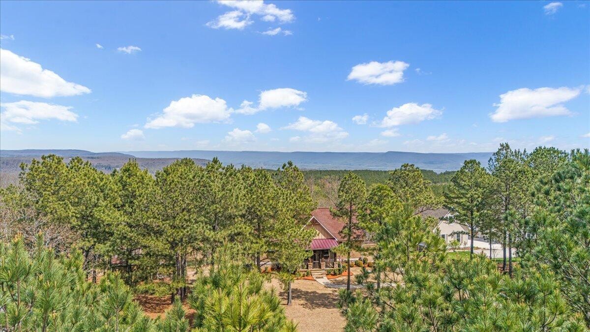 510 Lookout View Drive Property Photo 84