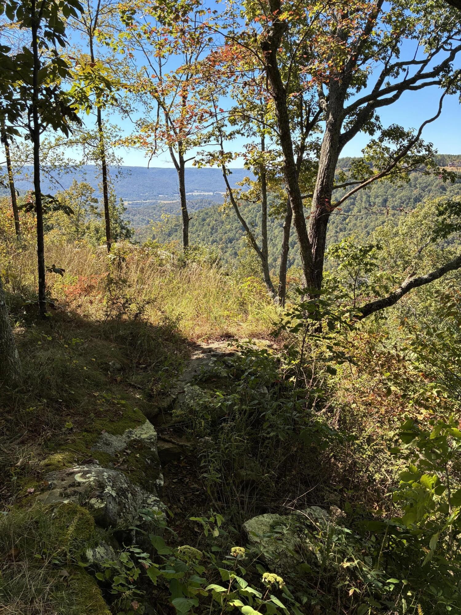 4093 Raulston Falls Road Property Photo 4