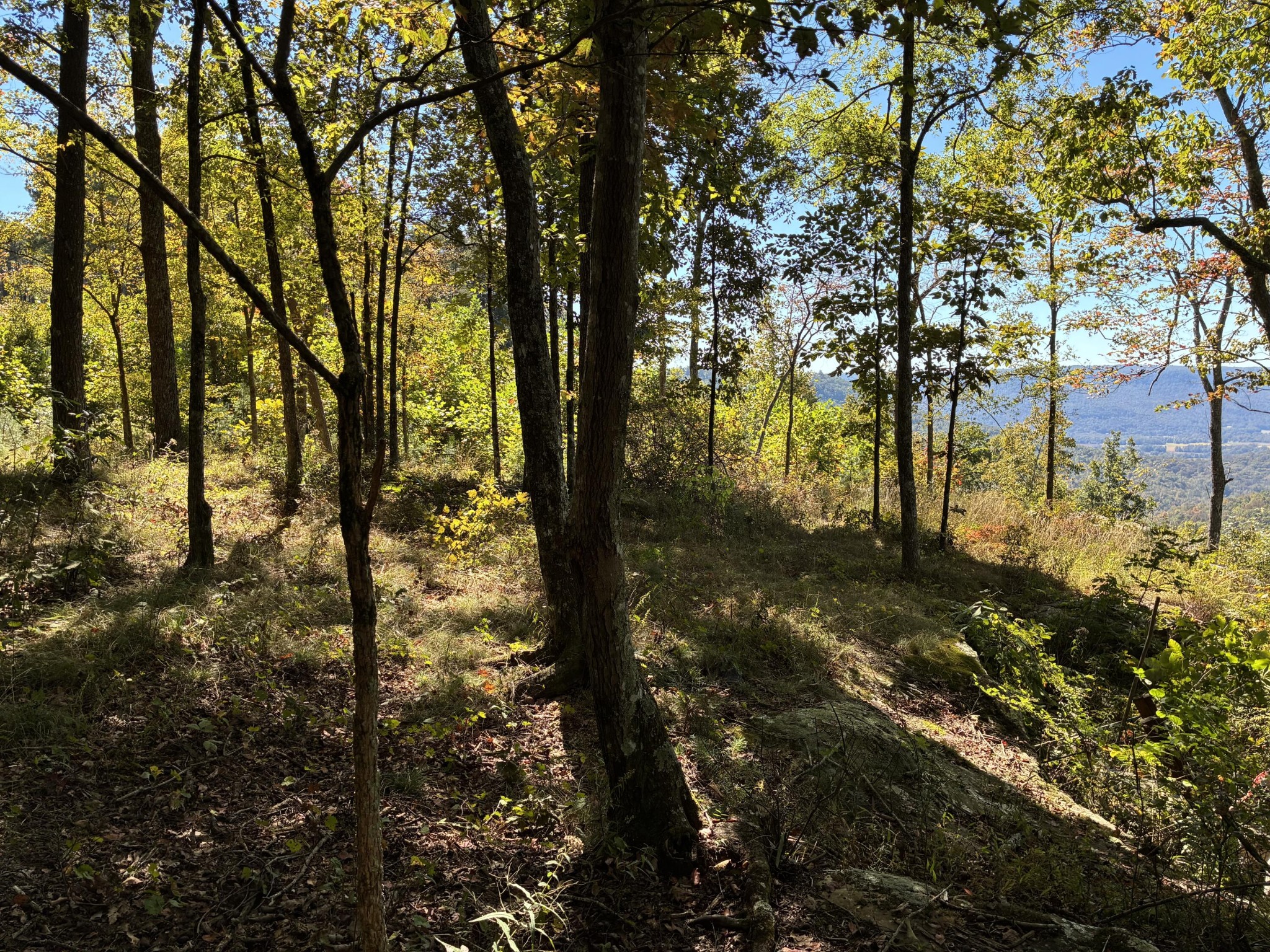 4093 Raulston Falls Road Property Photo 5