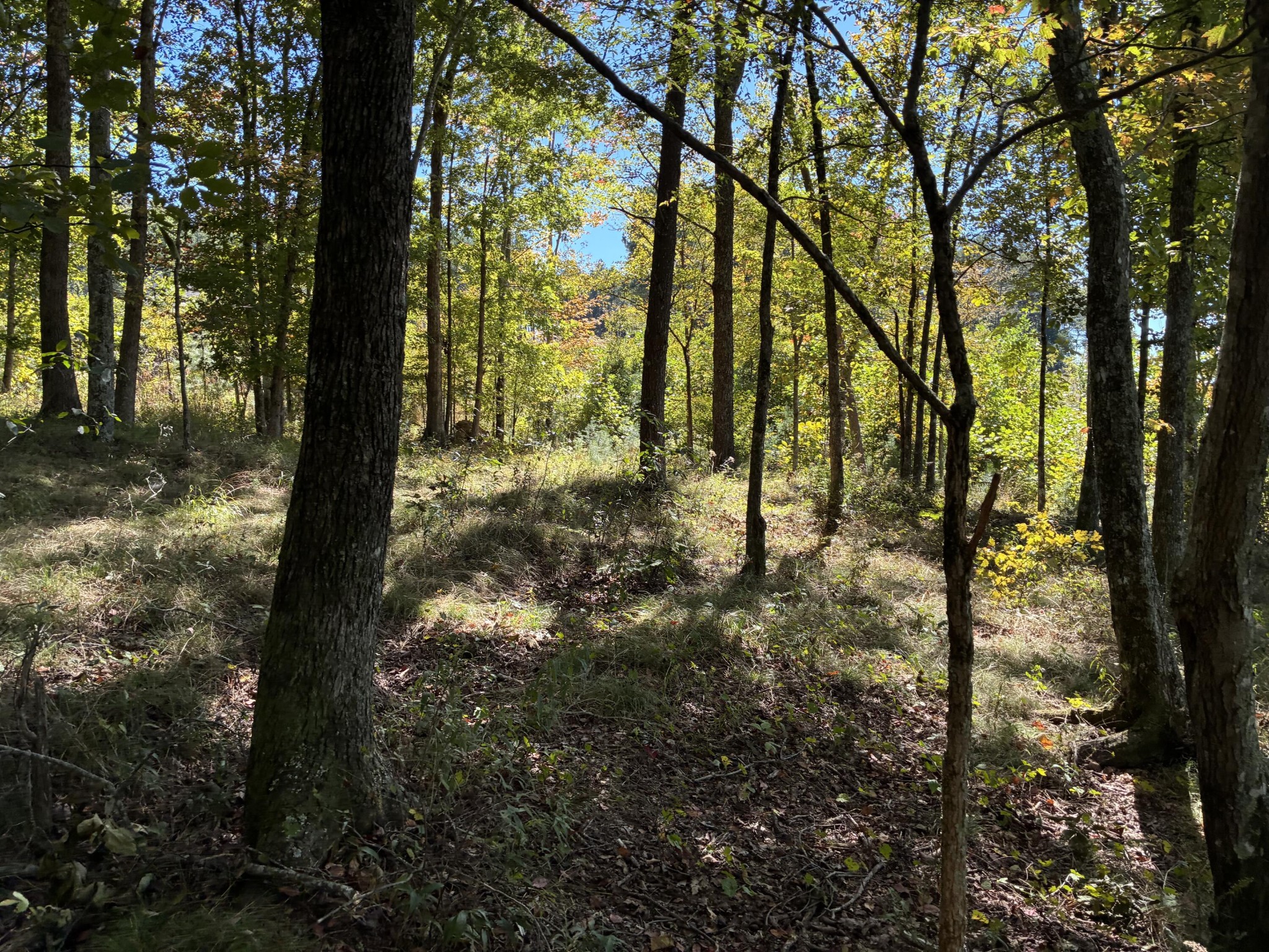 4093 Raulston Falls Road Property Photo 6