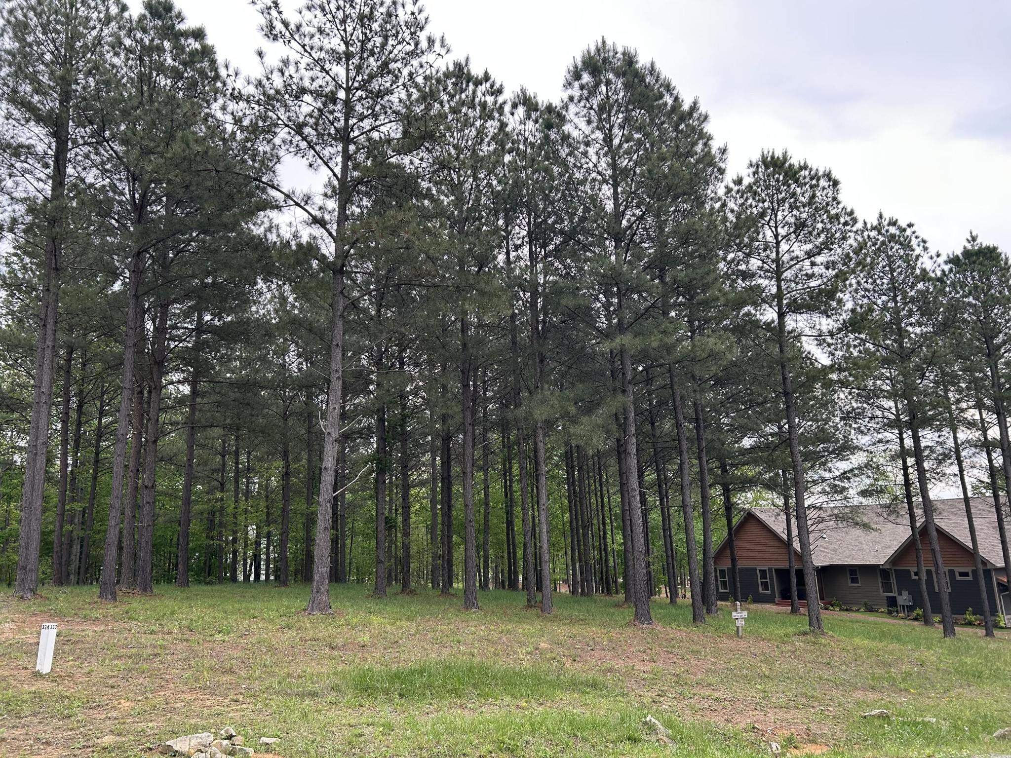 140 Foxtrot Lane Property Photo 3