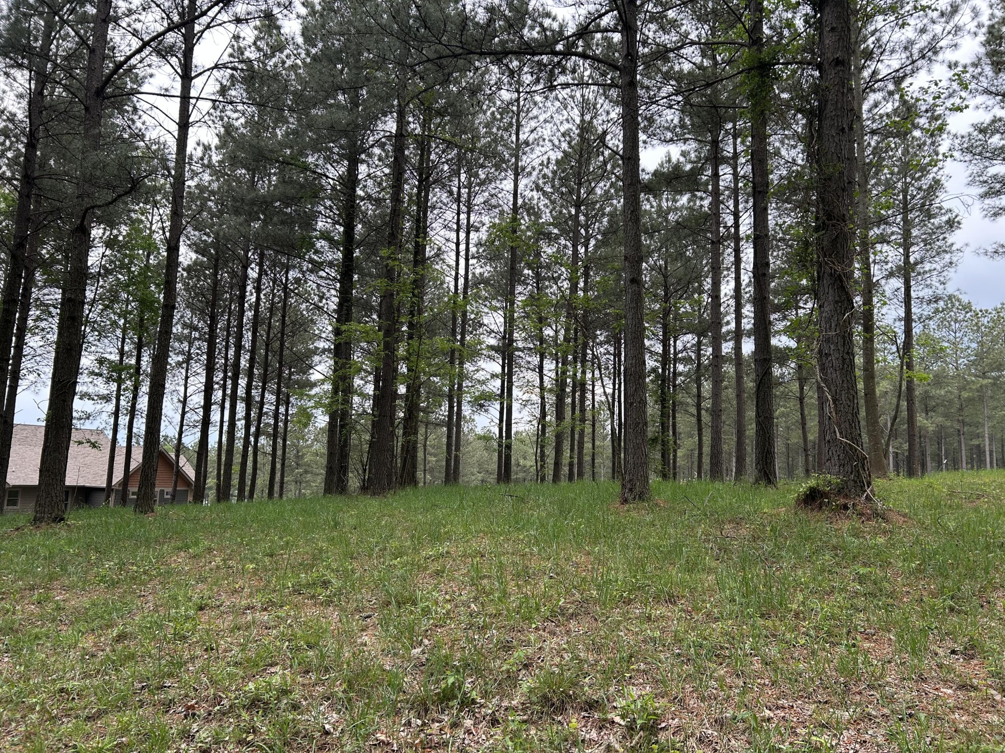 140 Foxtrot Lane Property Photo 7