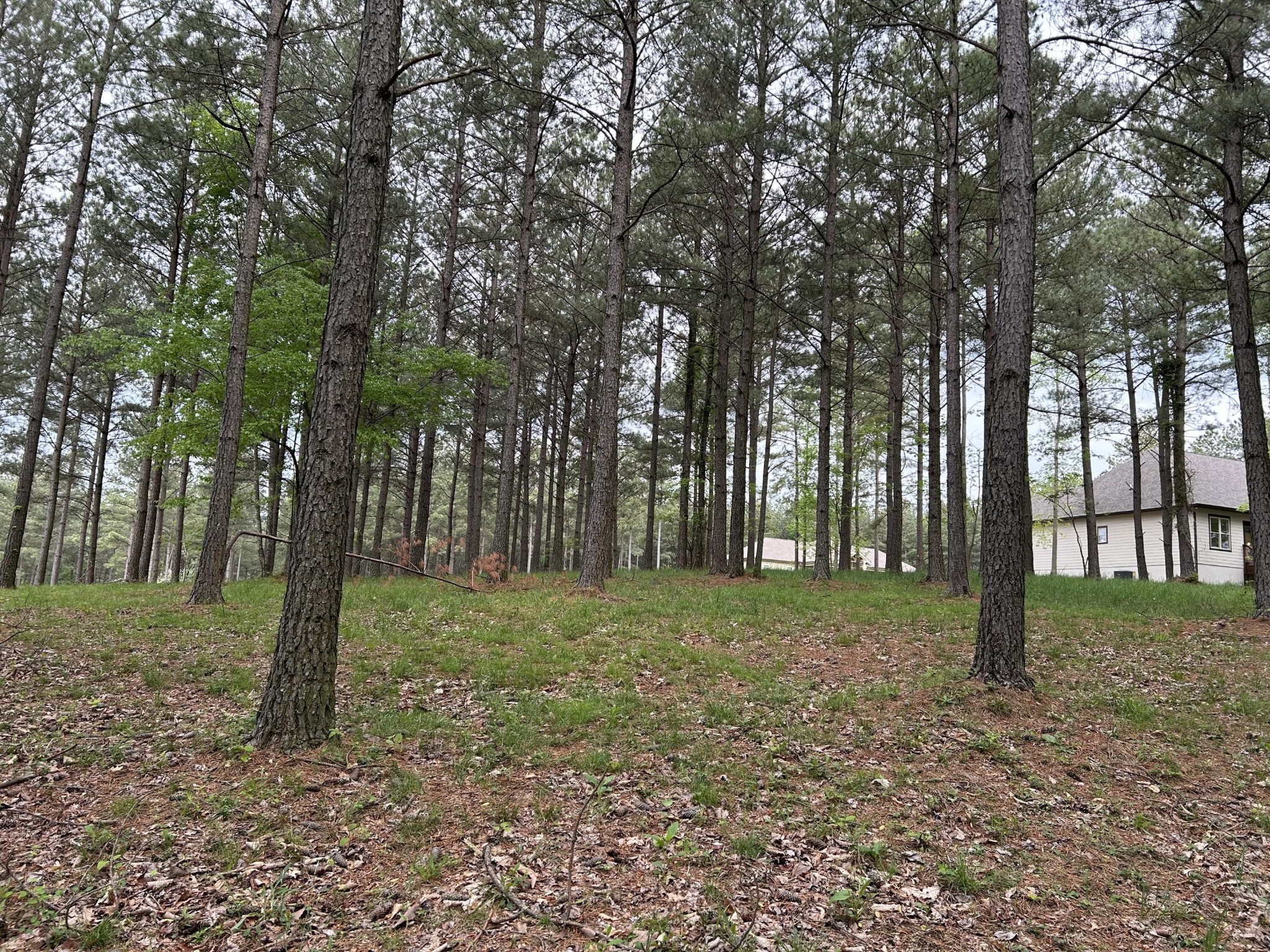 140 Foxtrot Lane Property Photo 8