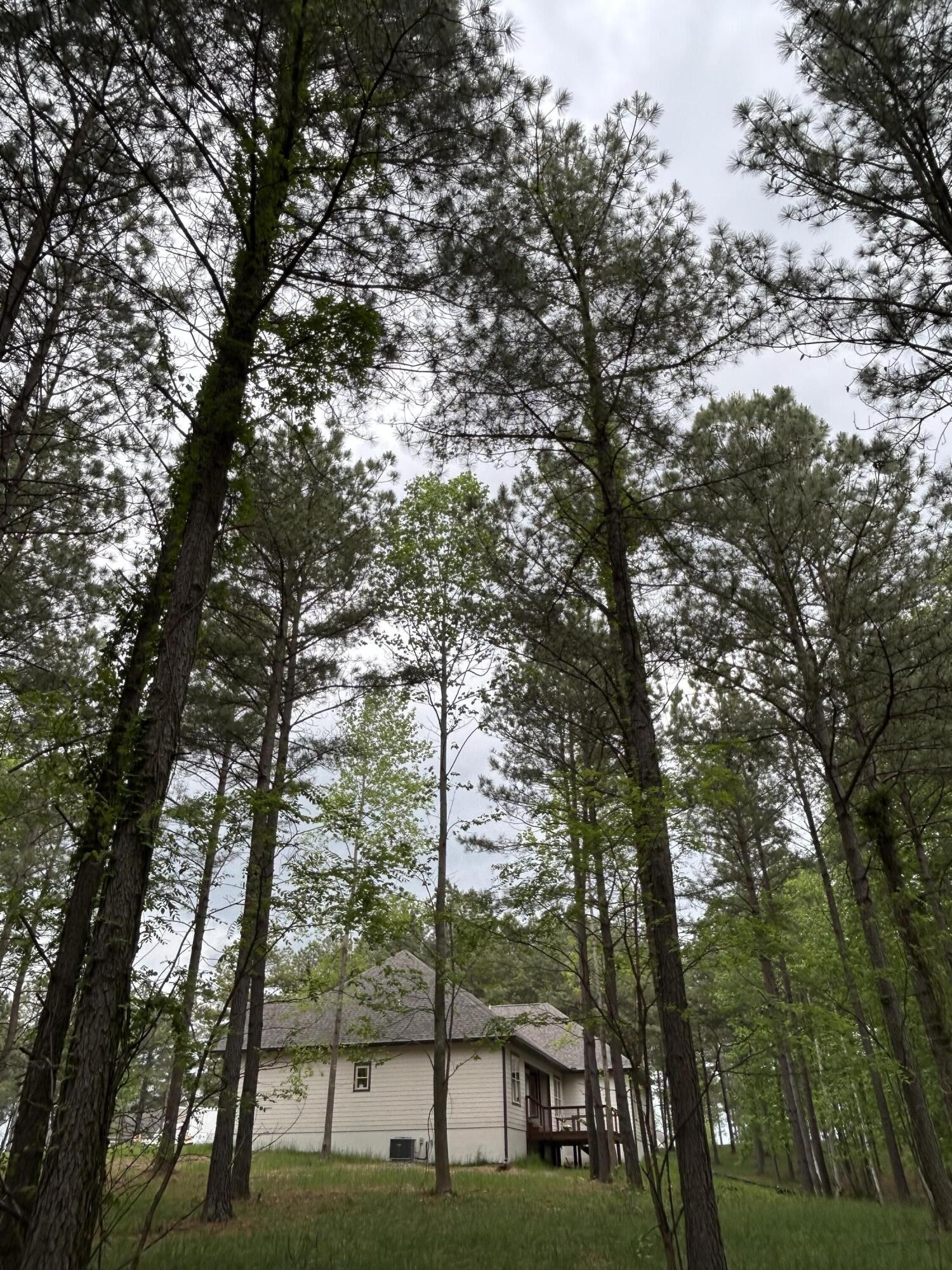 140 Foxtrot Lane Property Photo 10