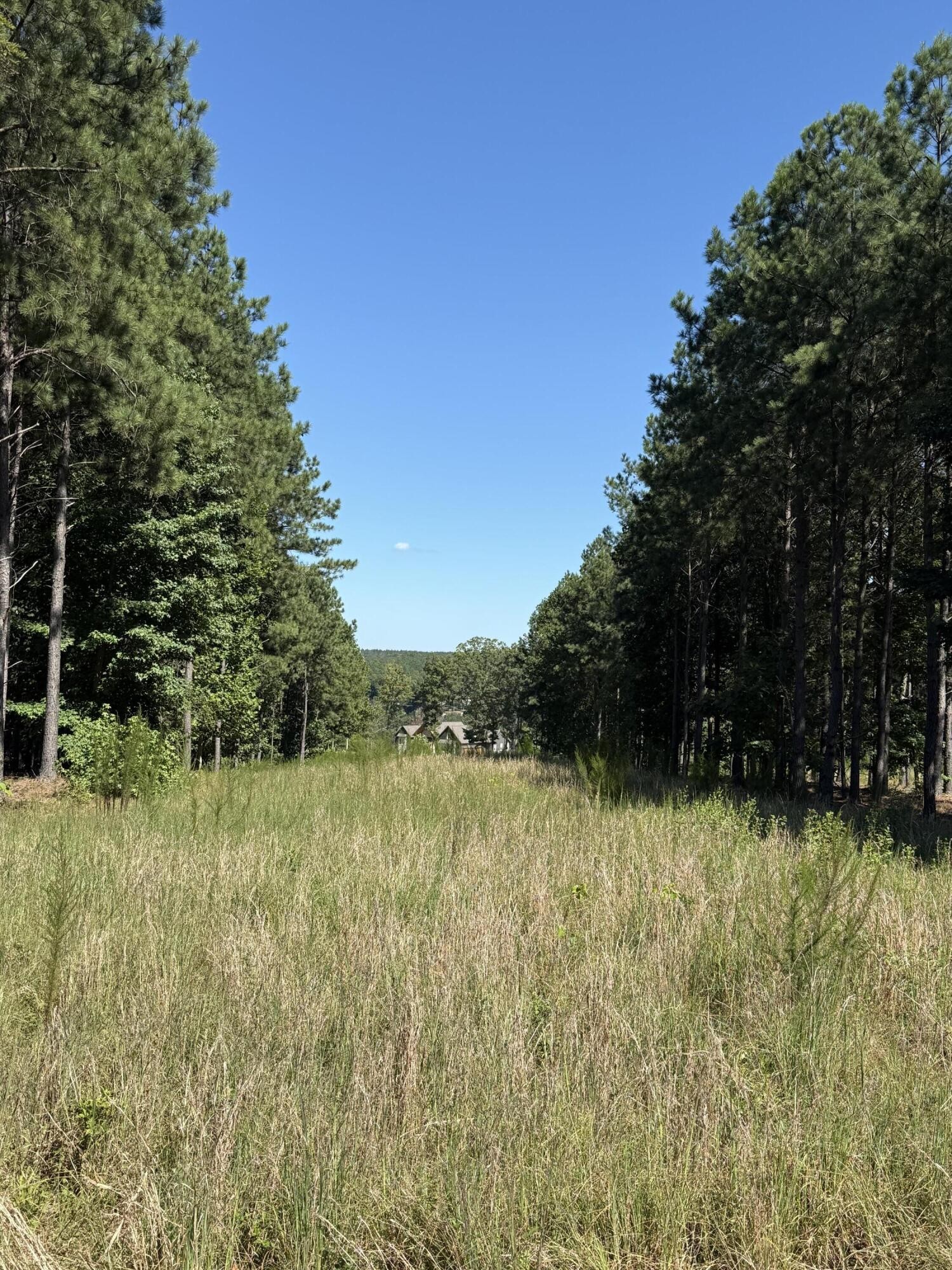 1080 Crockett Loop Property Photo 1