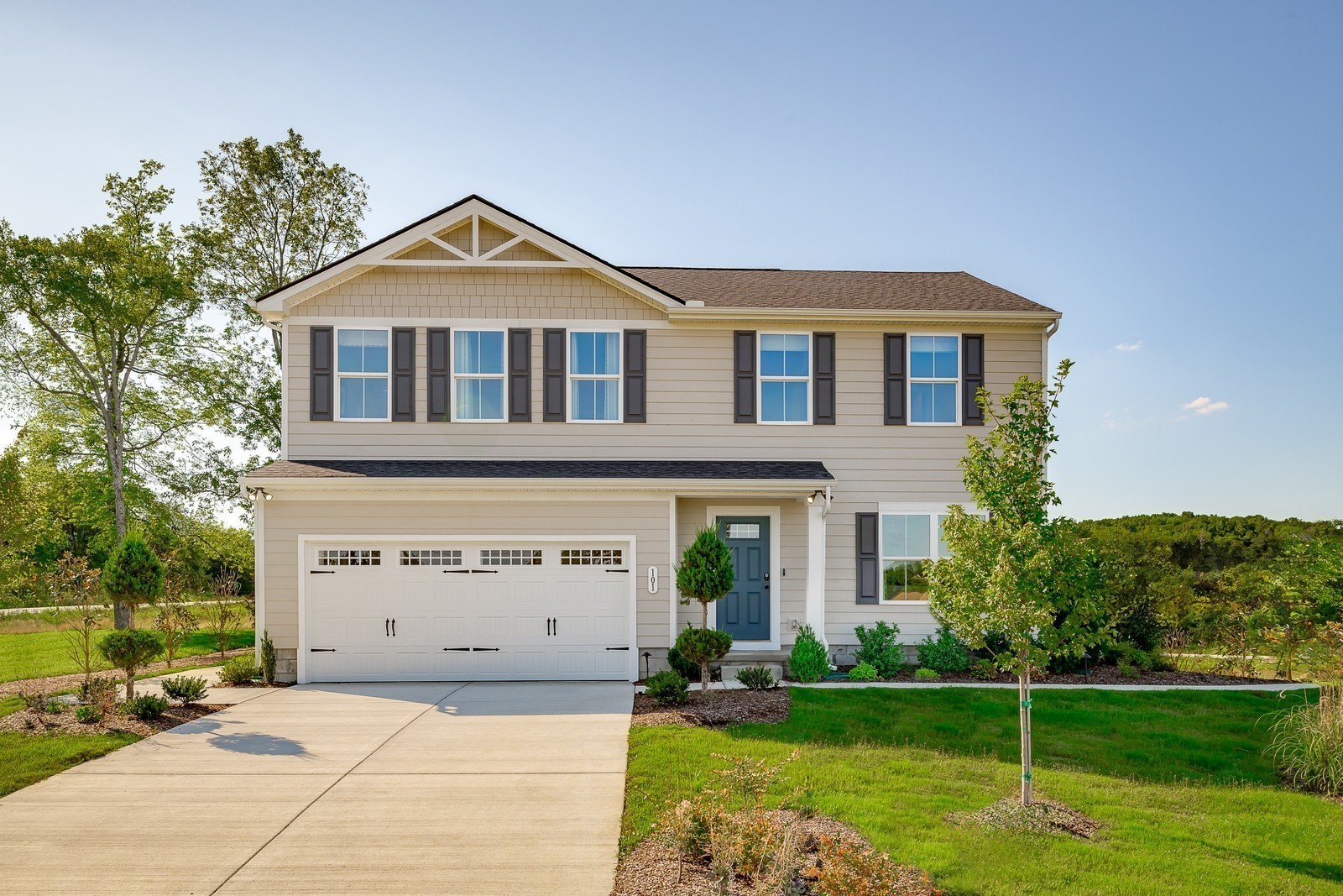 217 Shutout Drive Property Photo 1