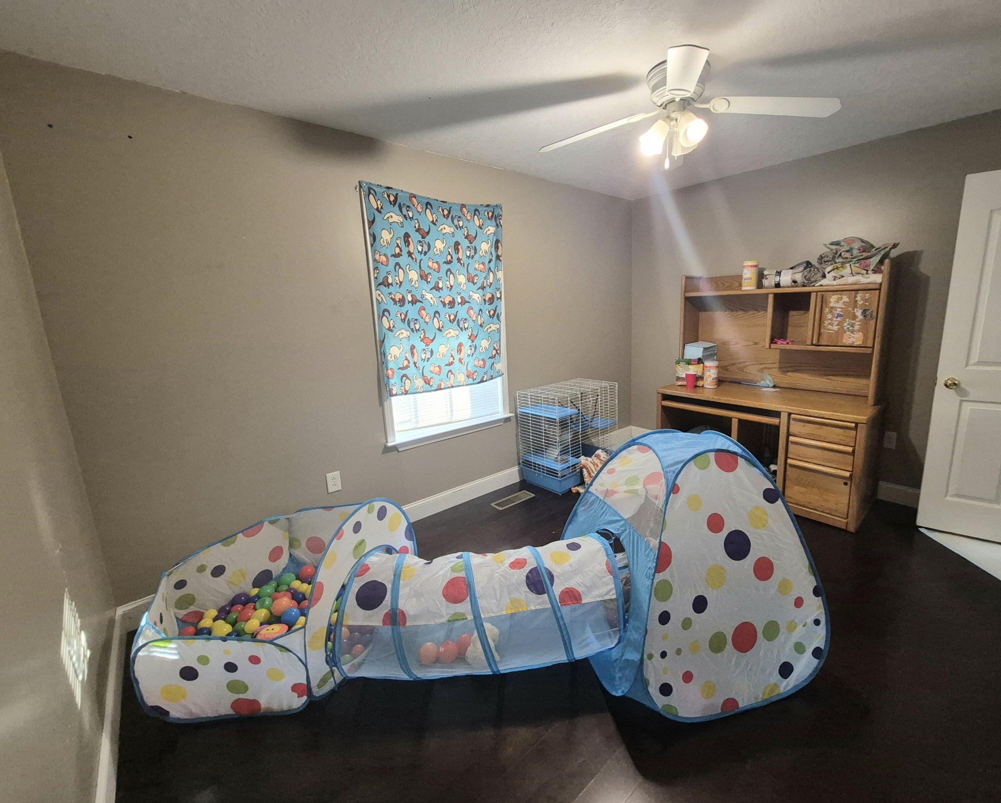 21 Morgan Road Property Photo 25