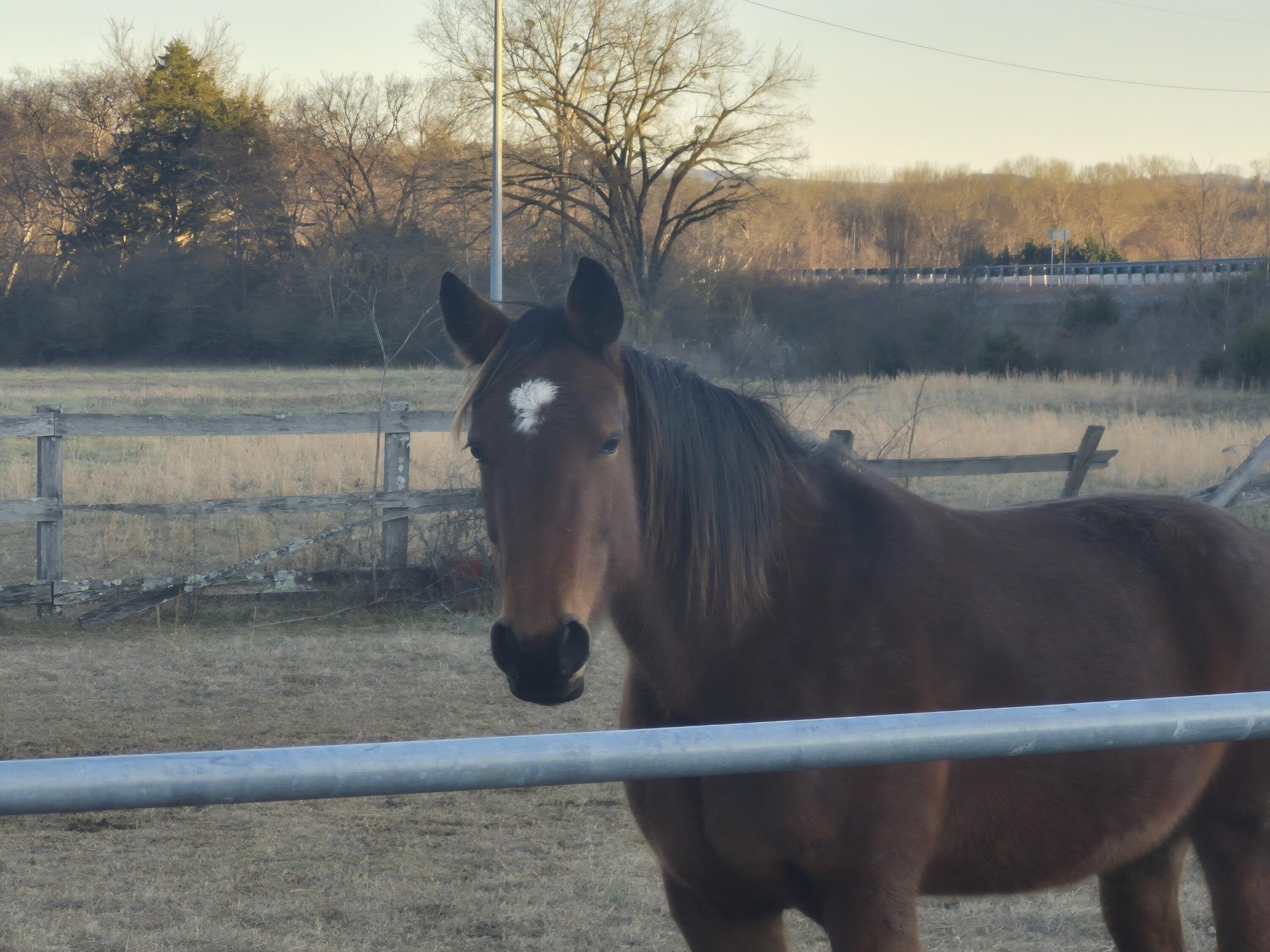 1244 Valley View Highway Property Photo 13