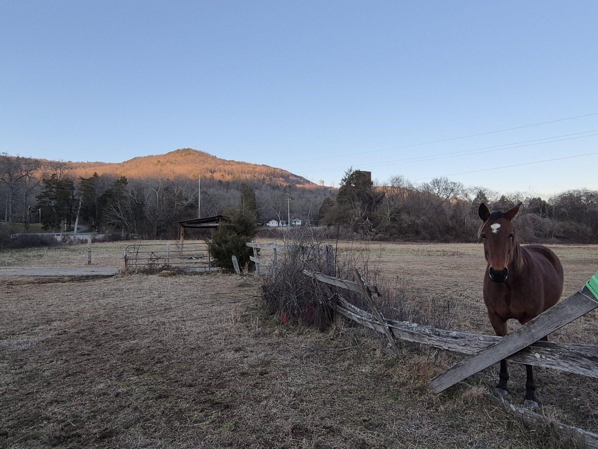 1244 Valley View Highway Property Photo 14