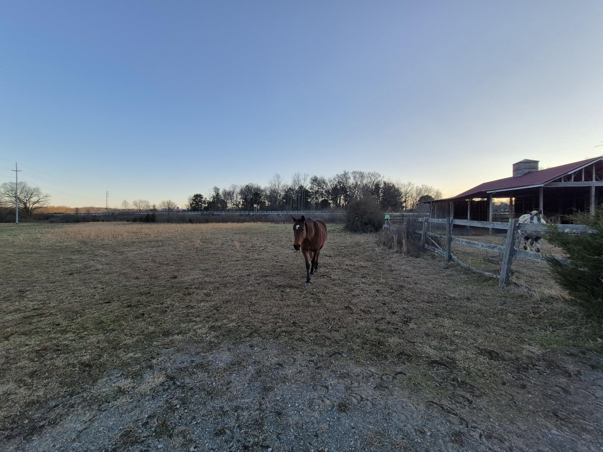 1244 Valley View Highway Property Photo 15