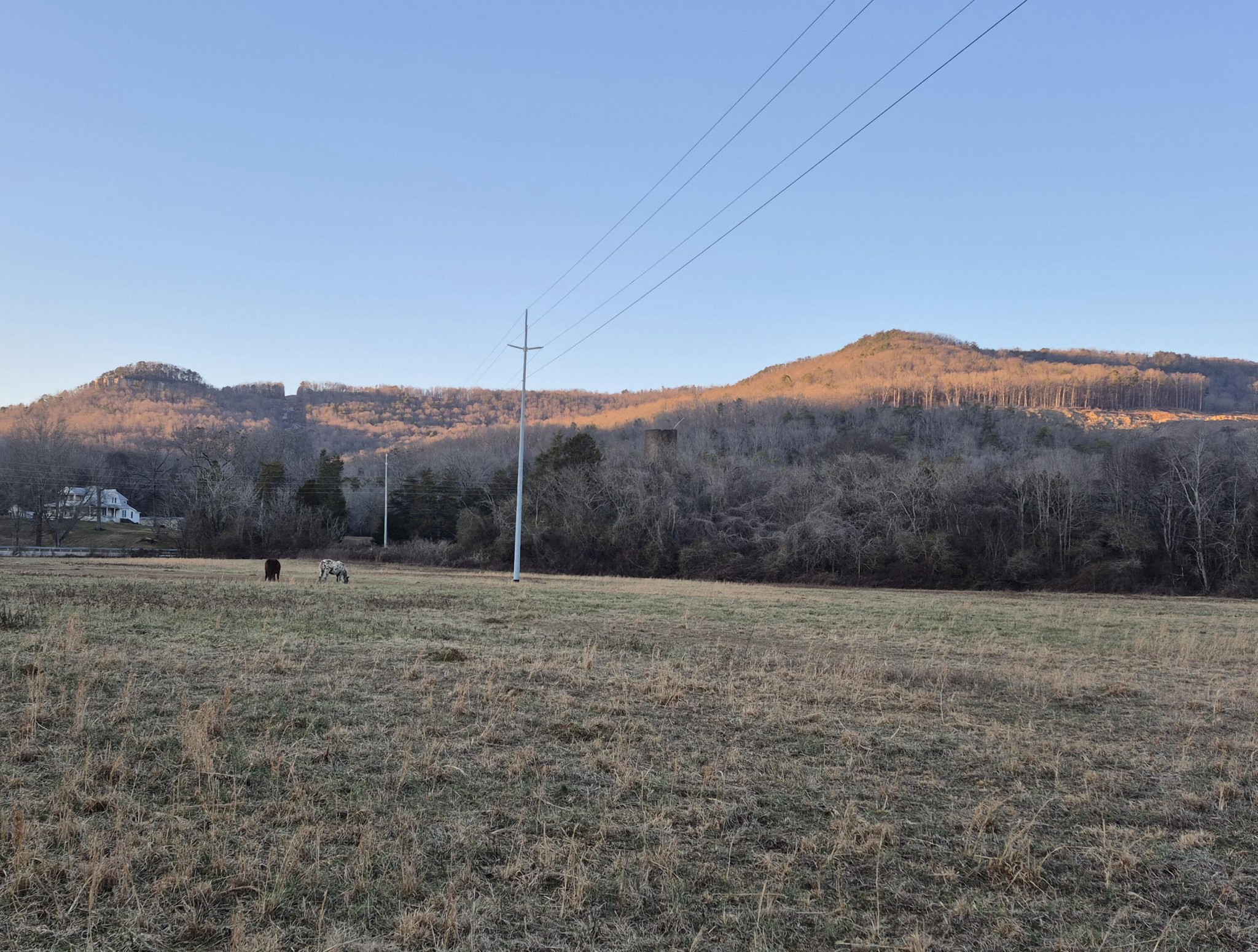 1244 Valley View Highway Property Photo 21