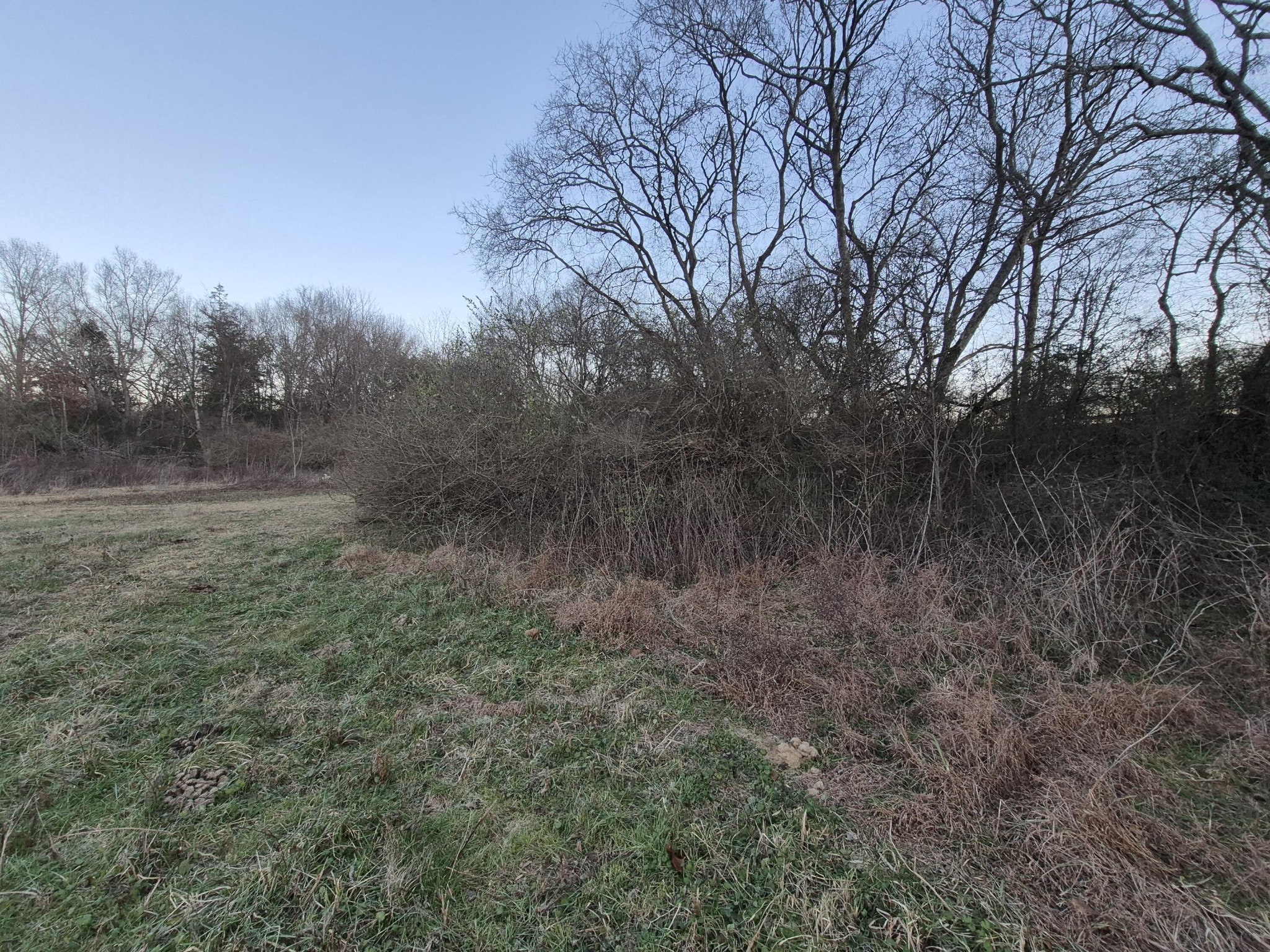 1244 Valley View Highway Property Photo 24