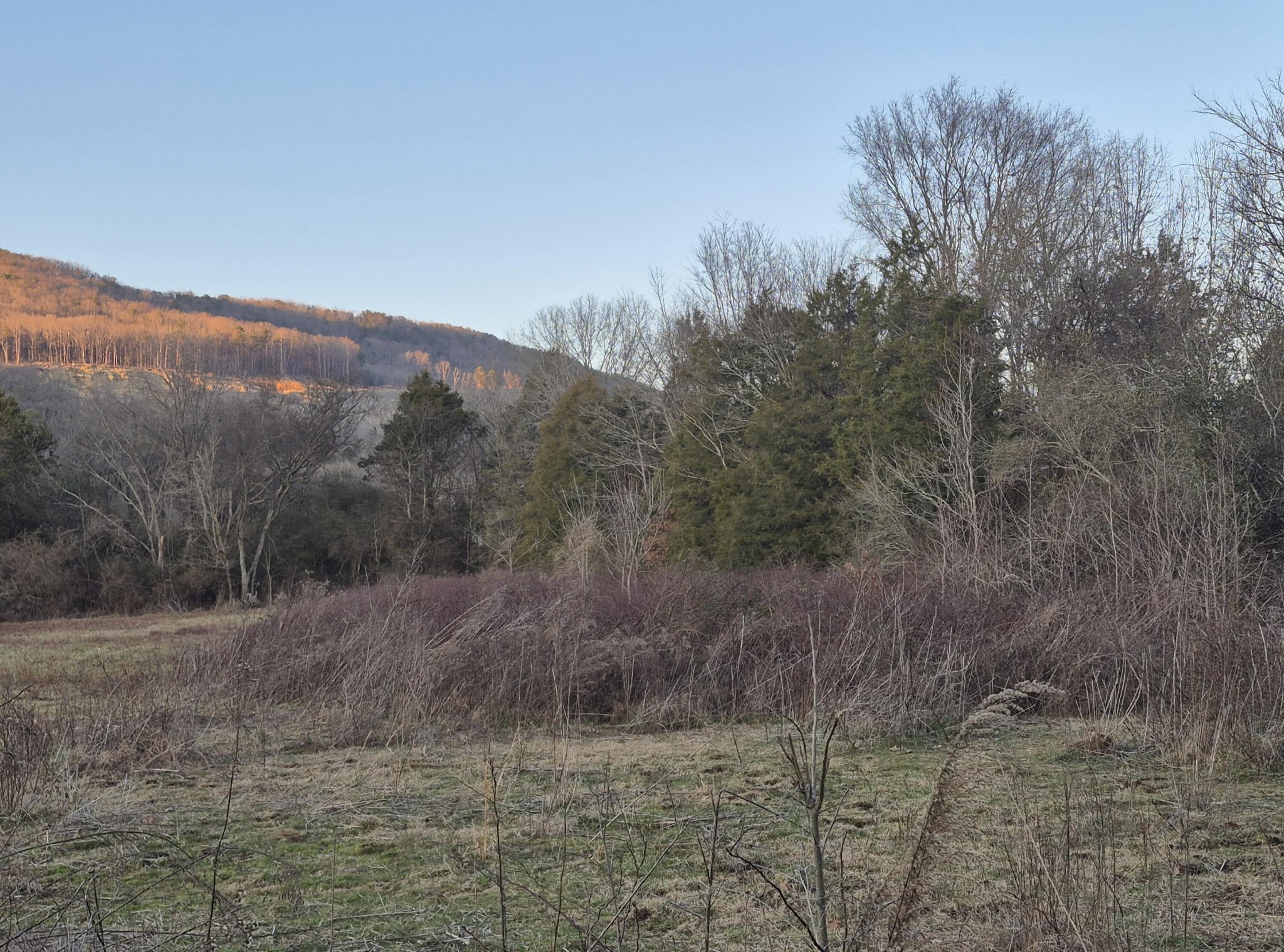 1244 Valley View Highway Property Photo 25