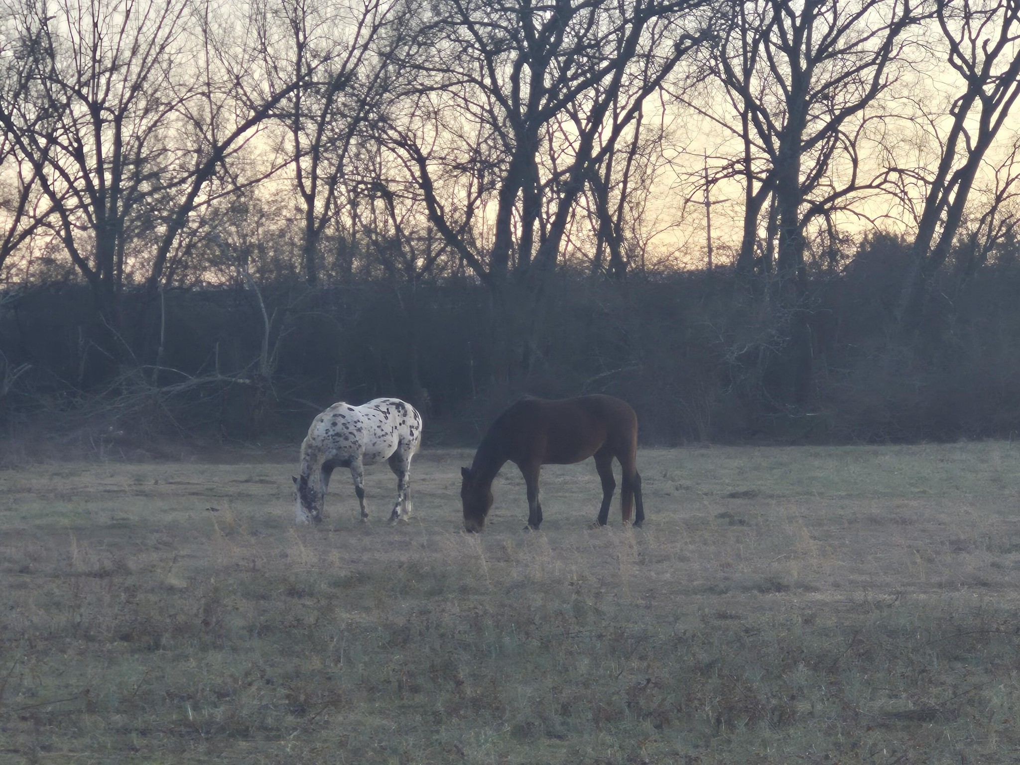 1244 Valley View Highway Property Photo 29
