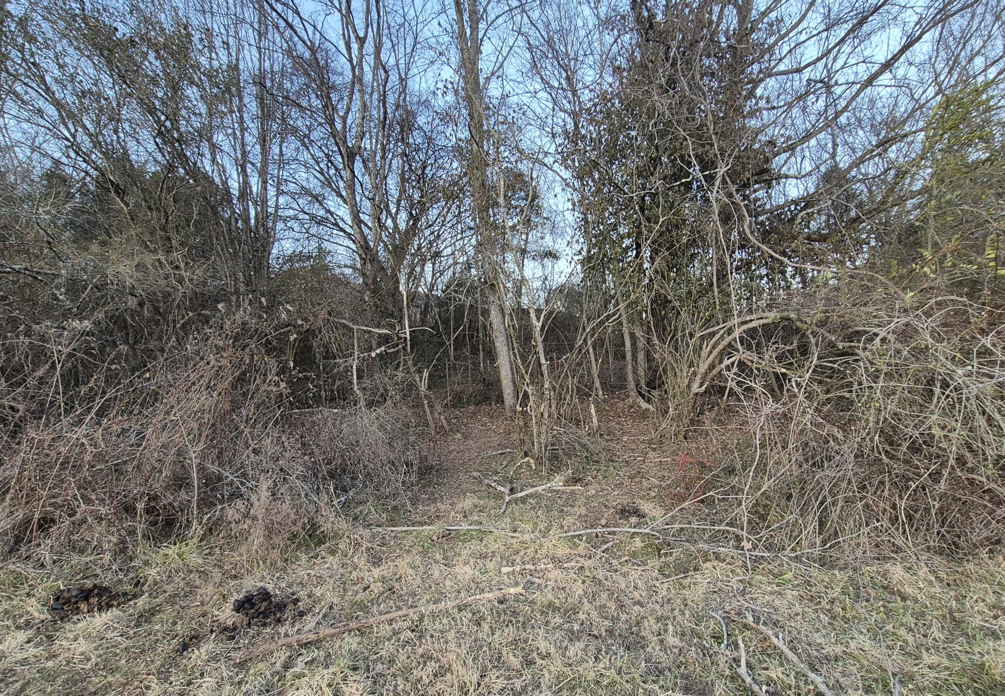 1244 Valley View Highway Property Photo 30