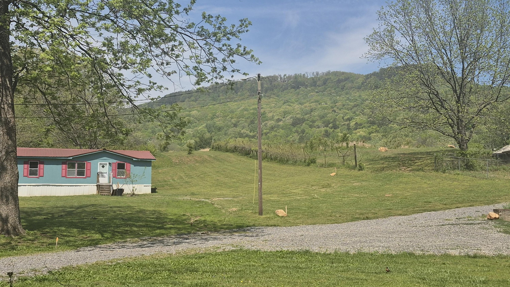 525527 Shady Grove Road Property Photo 6